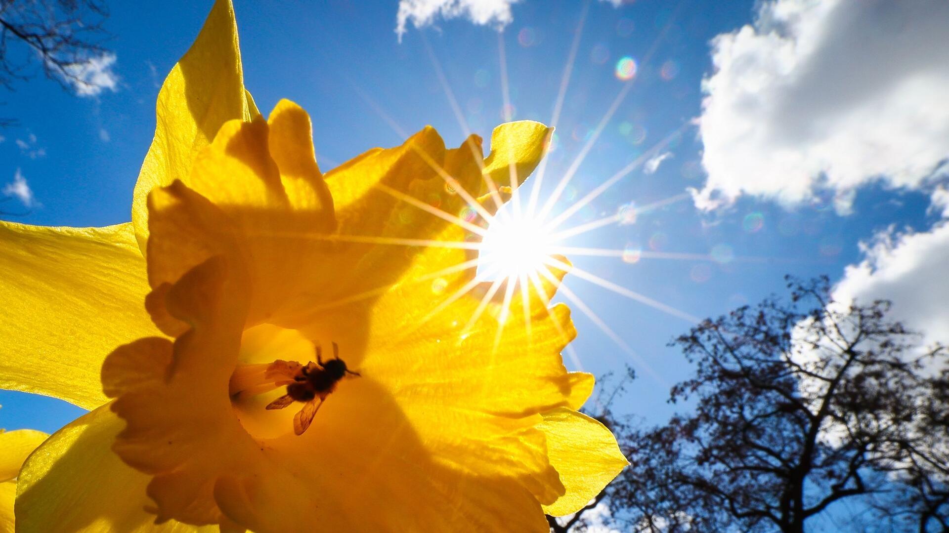  Sonne satt und Temperaturen bis 17 Grad sind bis zum Wochenende angesagt.
