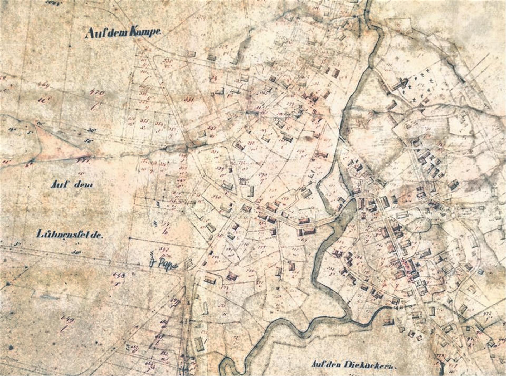 Die Kopie der Zevener Kuhhaut von 1865