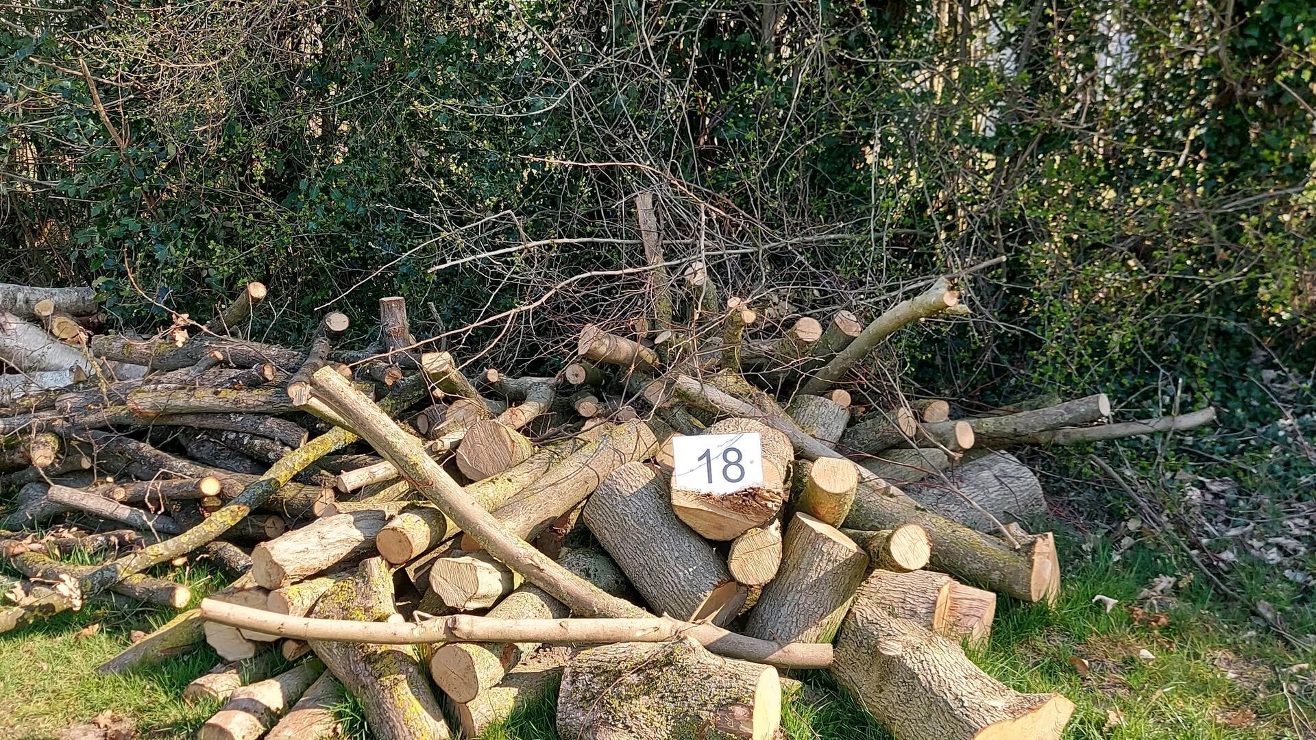 Ein Stapel Holz liegt im Wald.