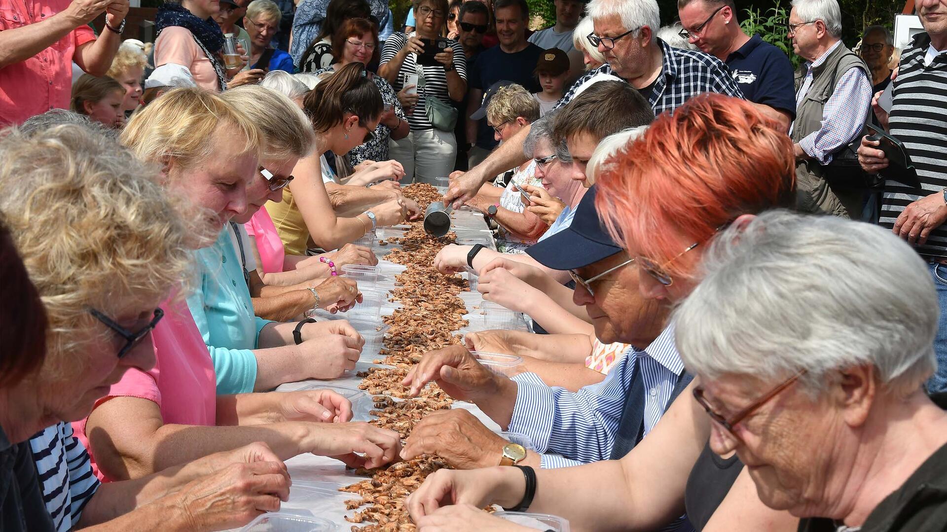 Mehrere Menschen beim Krabbenpulen