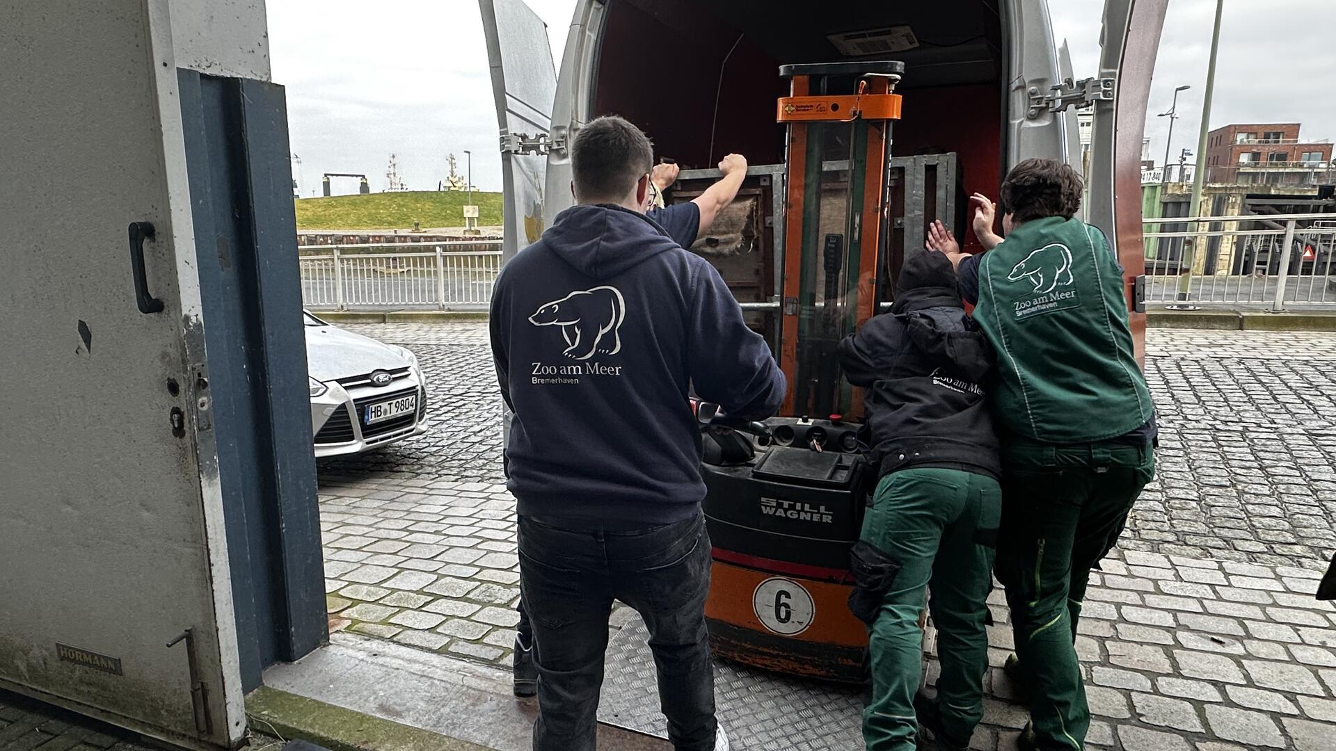 Die Transportbox mit dem Zootier wird in den Transporter verladen: Der Zoo am Meer Bremerhaven nimmt Abschied von Schimpansin Donna.