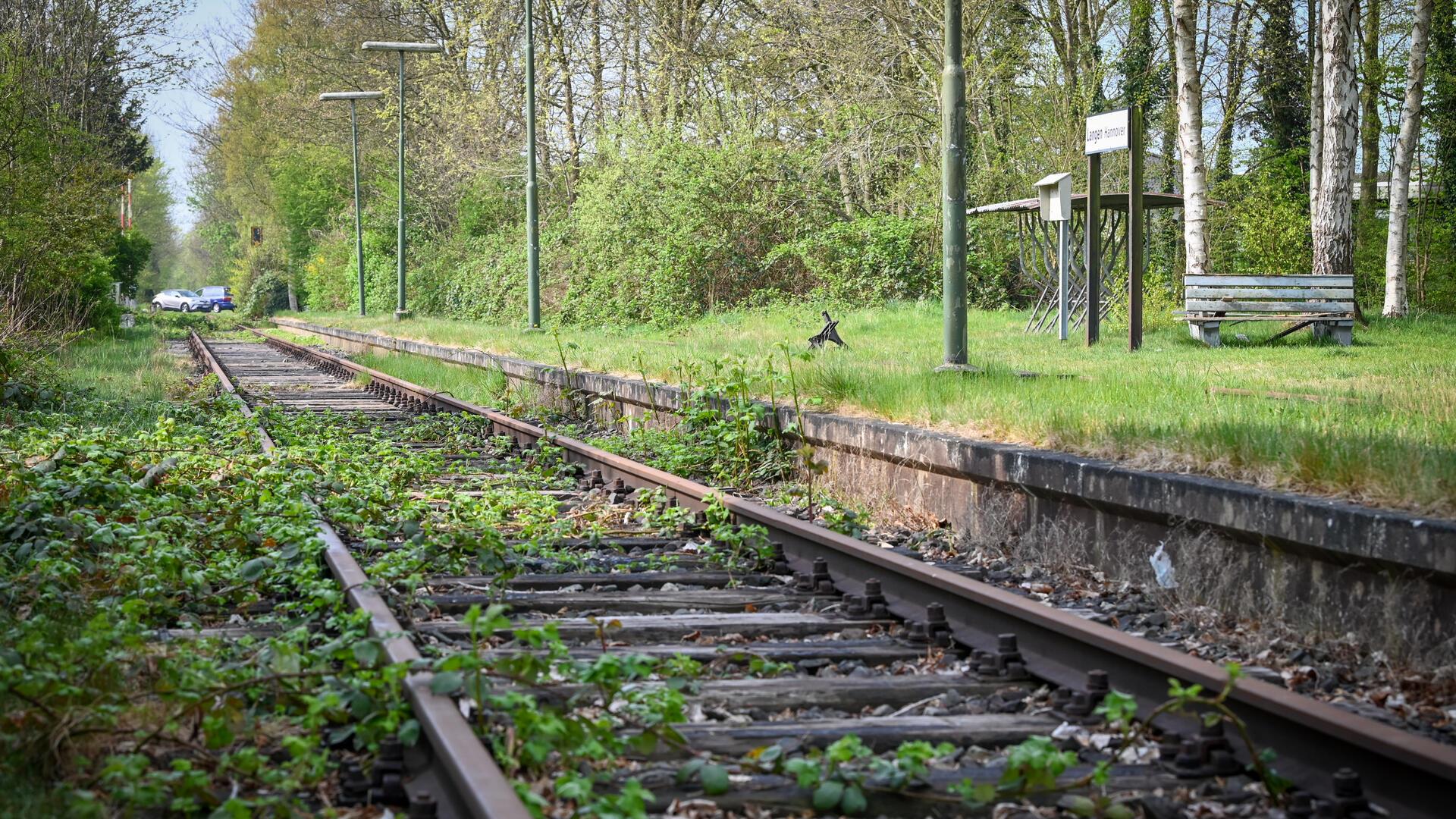 zugewucherte Bahnstrecke am Bahnhalt Langen