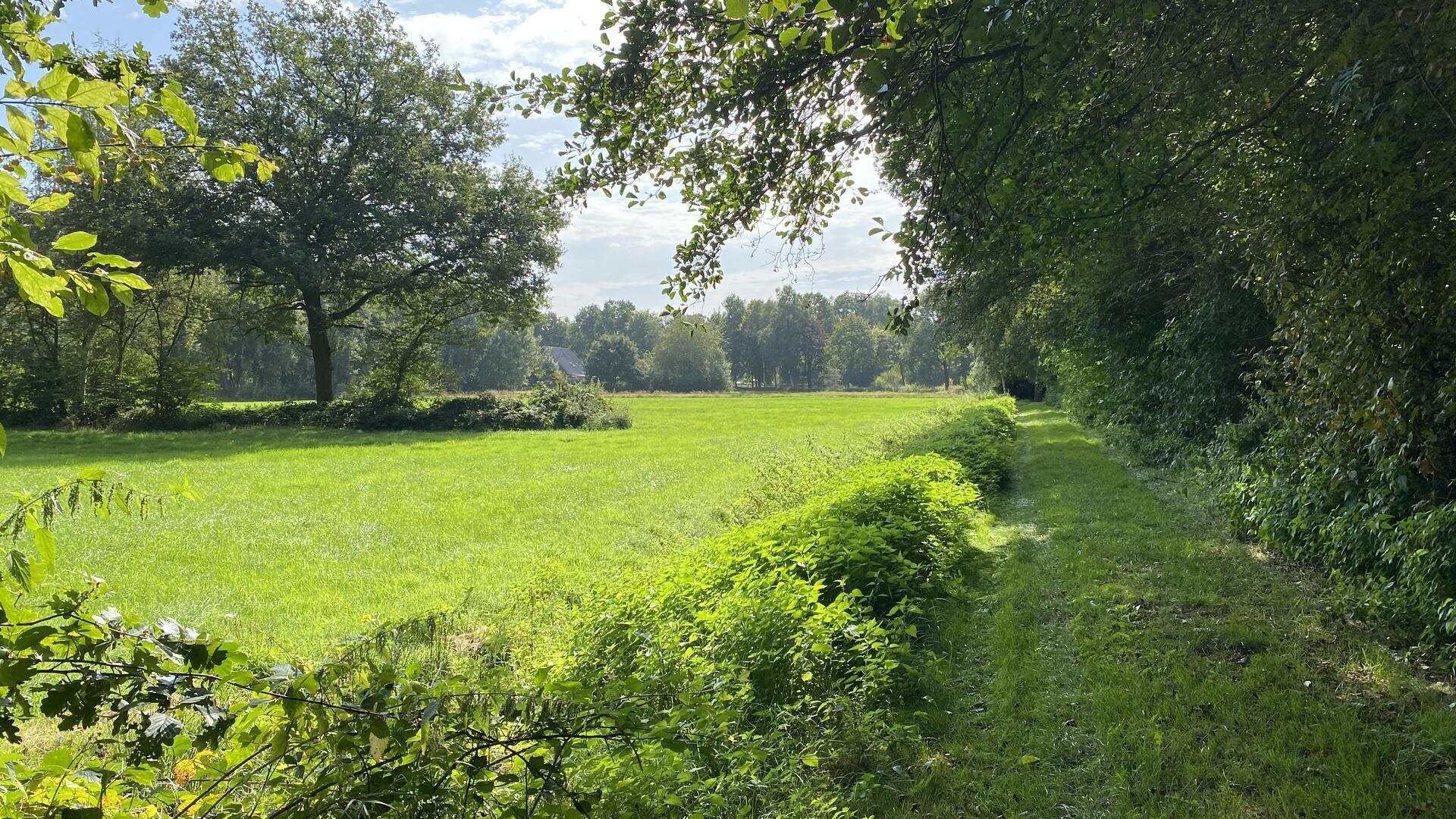 Grünes Gelände. Bäume- Gras. Himmel im Hintergrund. Am Bülstedter Brink erinnert der Name bis heute an die Siedlungsplätze kleiner Leute. Dort lebten jene Familien, die mit kargem Boden auskommen mussten und sich ihren Lebensunterhalt als Tagelöhner oder Handwerker verdienten.