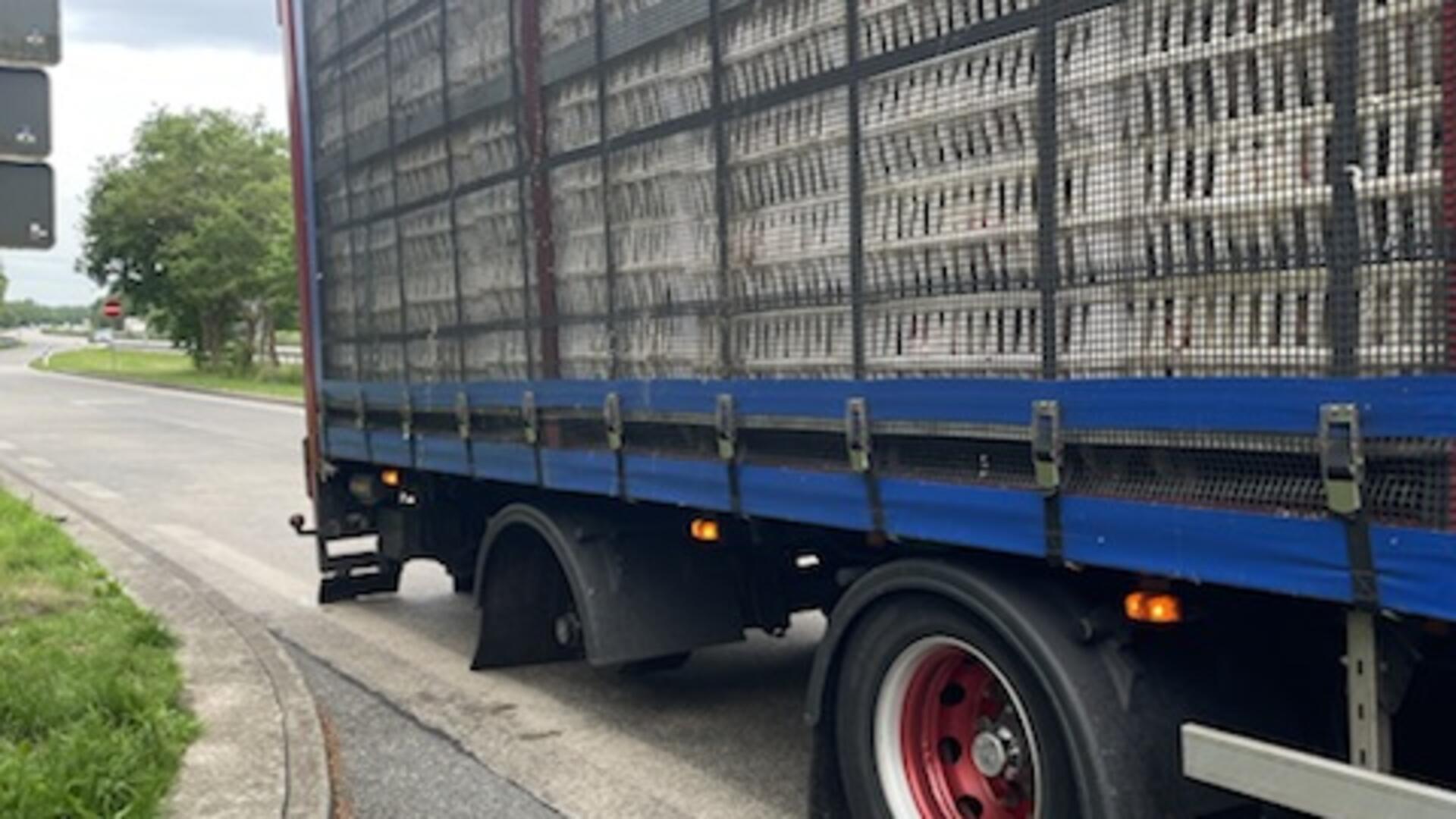 An dem mit Geflügel beladenen Auflieger fehlte ein Rad. Auf einem Parkplatz in Geestland wurden die Tiere umgeladen. 