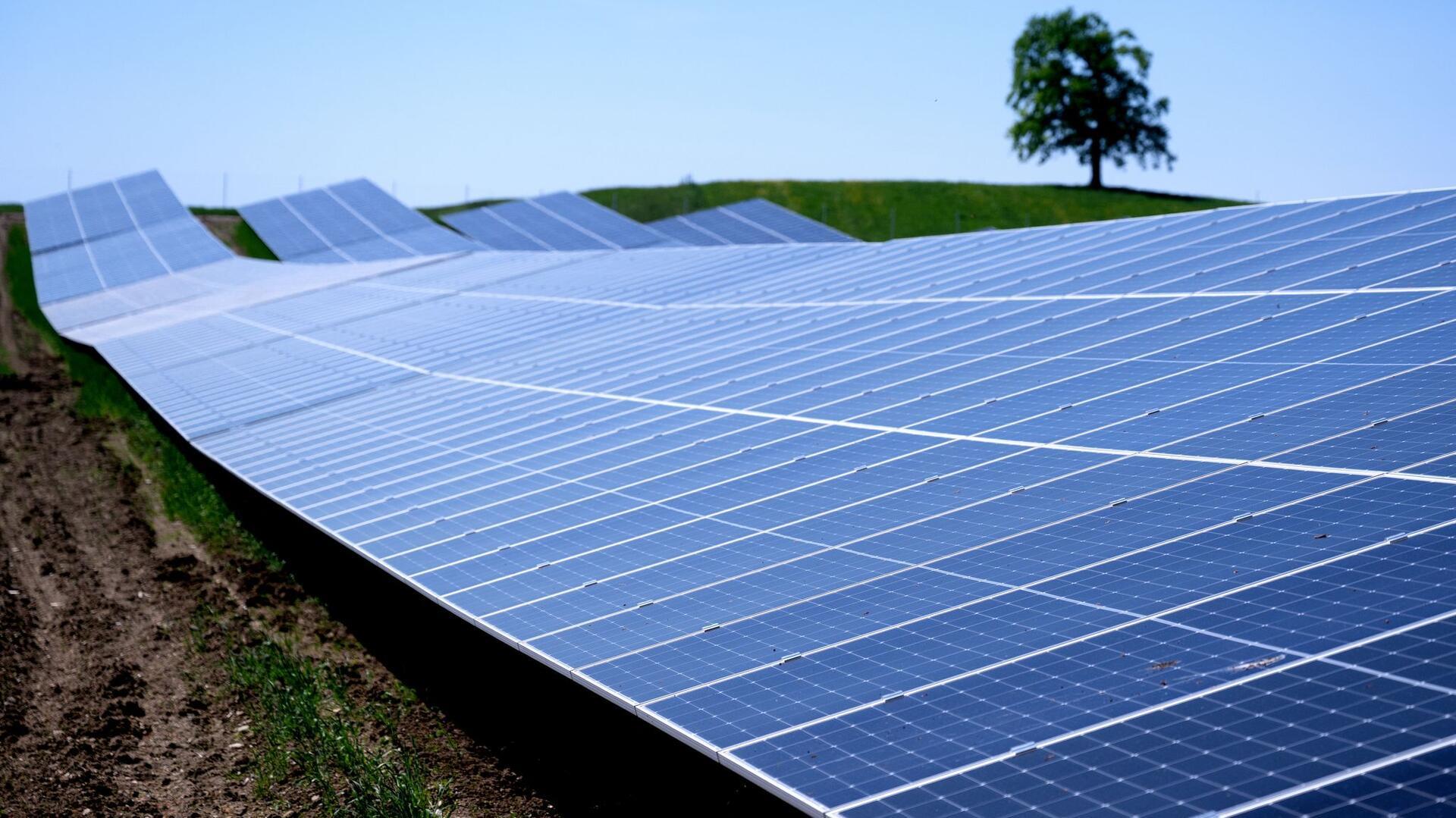 Nahansicht mehrerer Module eines Solarparks.