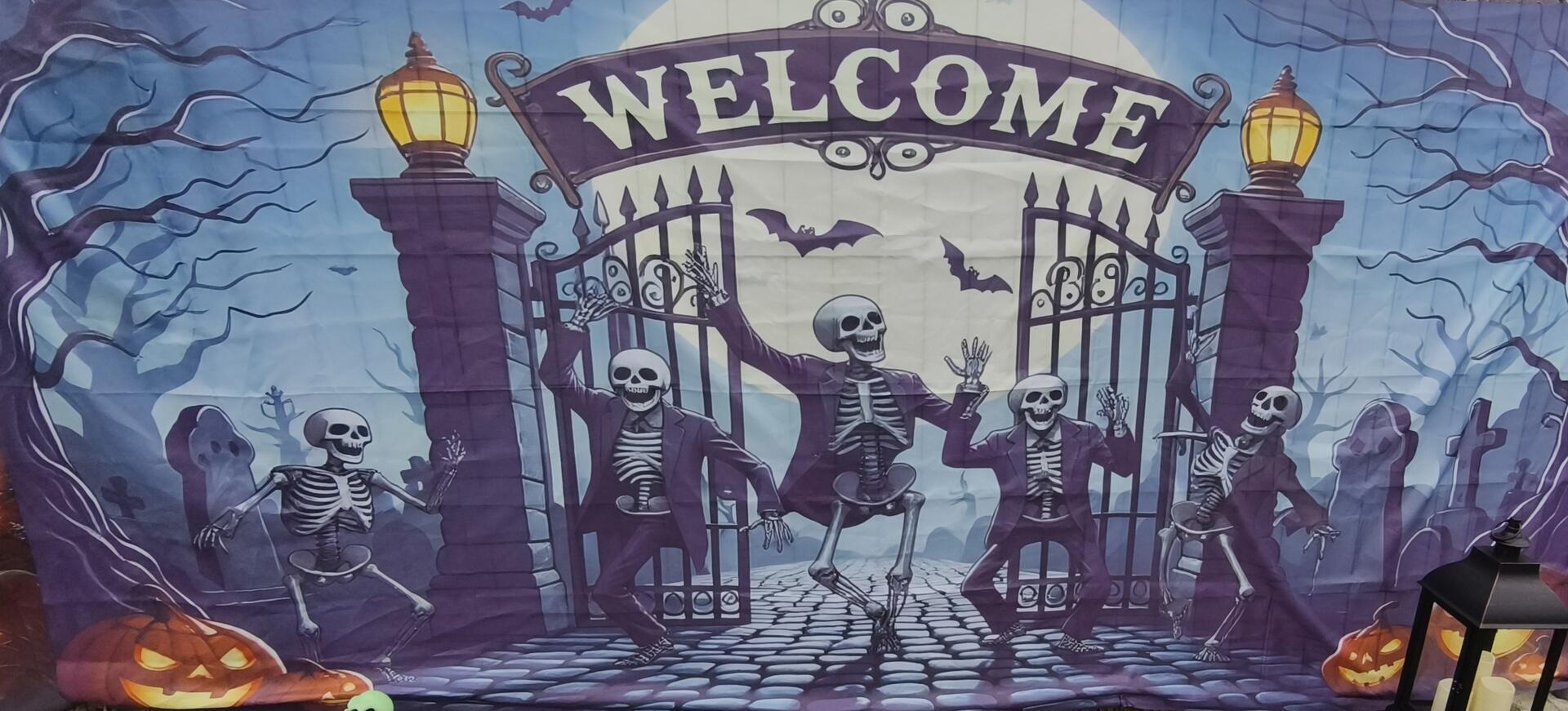 Auf dem Hundehof von Verena Heuwinkel in Bremerhaven gab es für Hunde und ihre B...