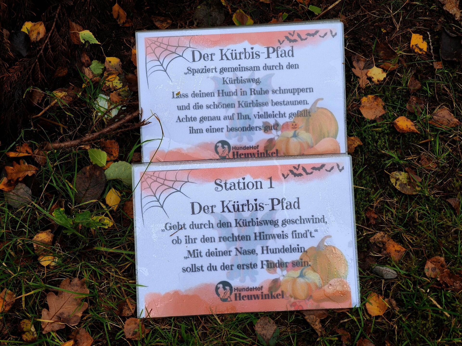 Auf dem Hundehof von Verena Heuwinkel in Bremerhaven gab es für Hunde und ihre B...