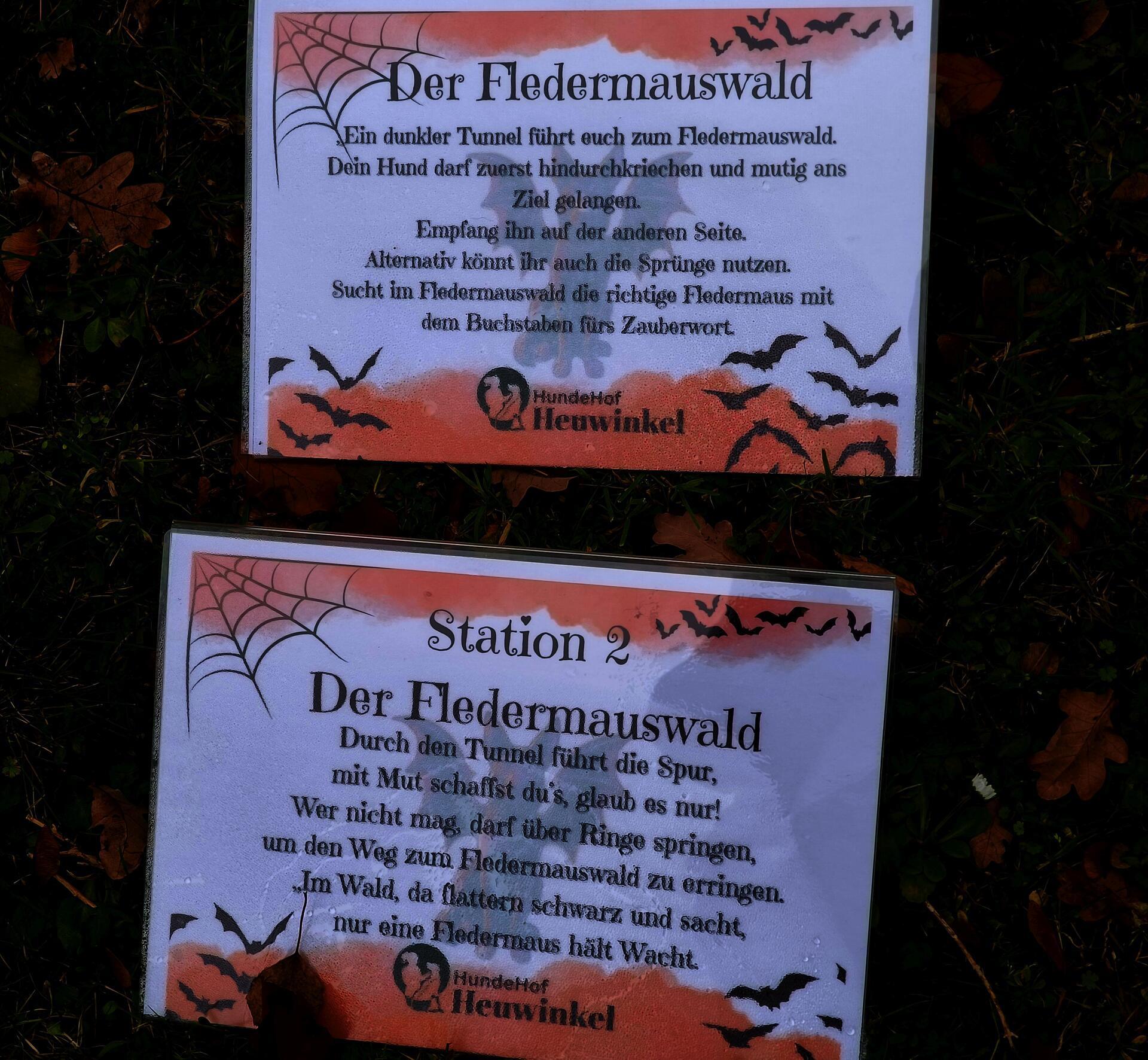 Auf dem Hundehof von Verena Heuwinkel in Bremerhaven gab es für Hunde und ihre B...