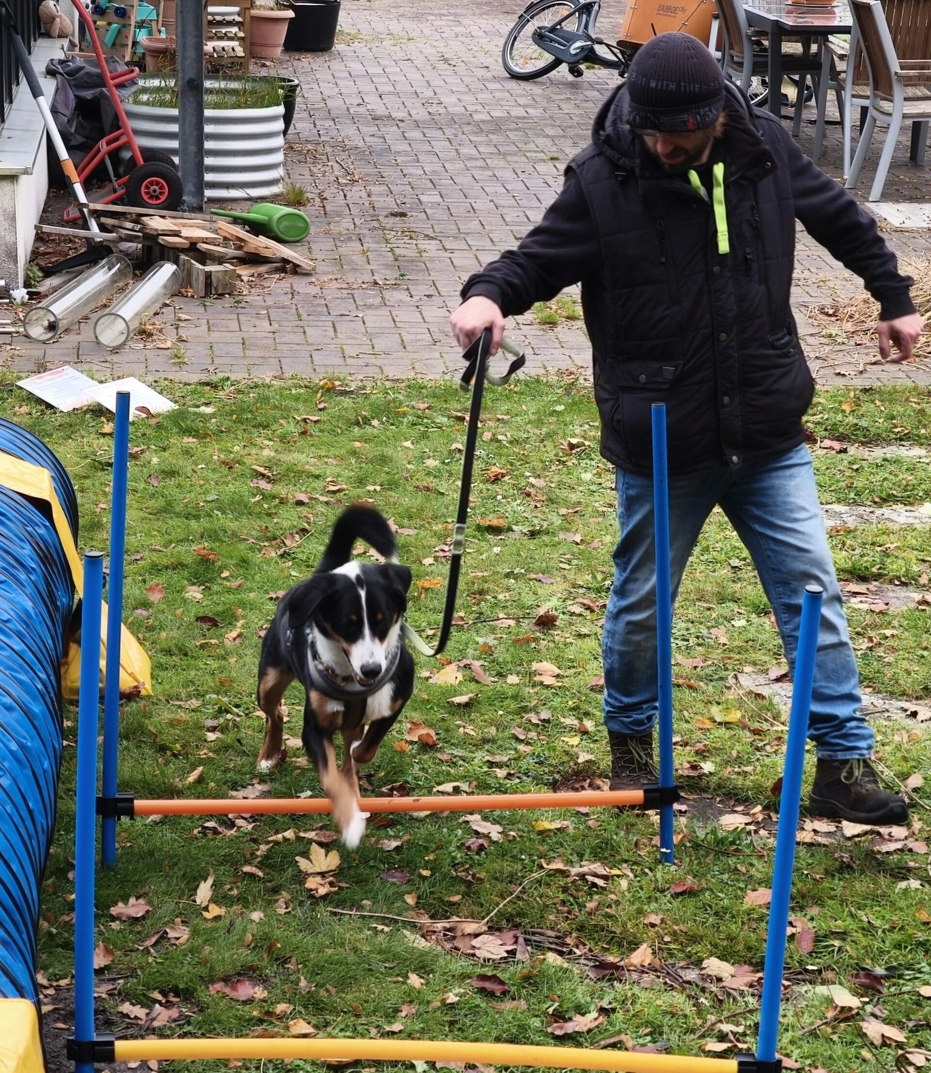 Auf dem Hundehof von Verena Heuwinkel in Bremerhaven gab es für Hunde und ihre B...