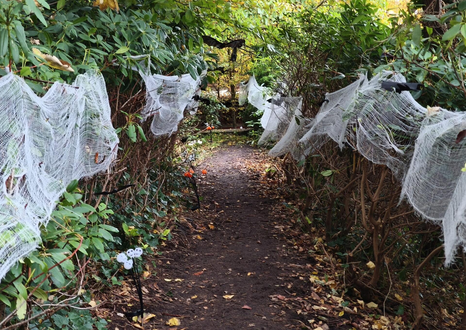 Auf dem Hundehof von Verena Heuwinkel in Bremerhaven gab es für Hunde und ihre B...