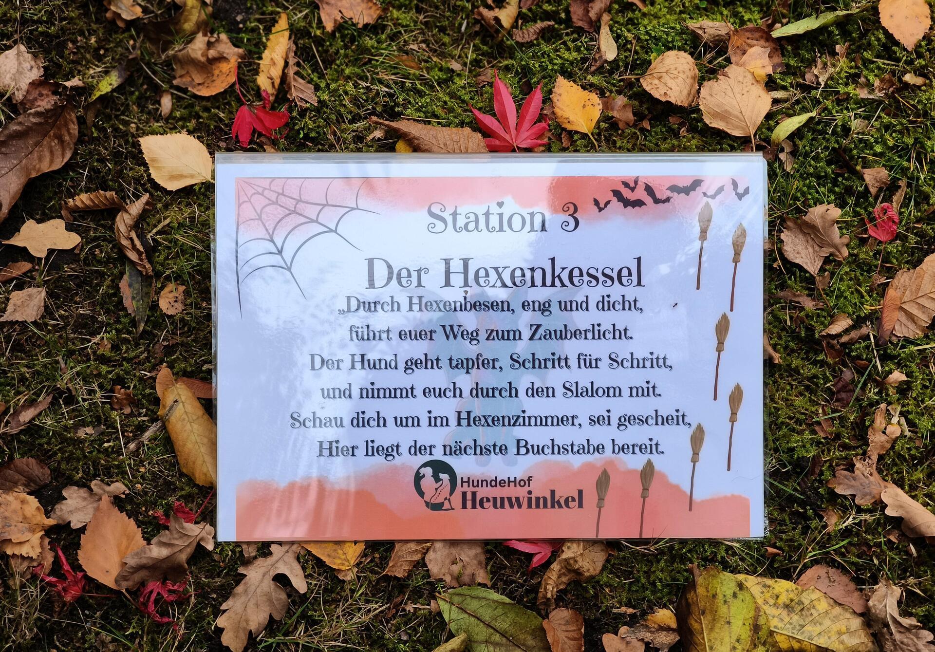 Auf dem Hundehof von Verena Heuwinkel in Bremerhaven gab es für Hunde und ihre B...