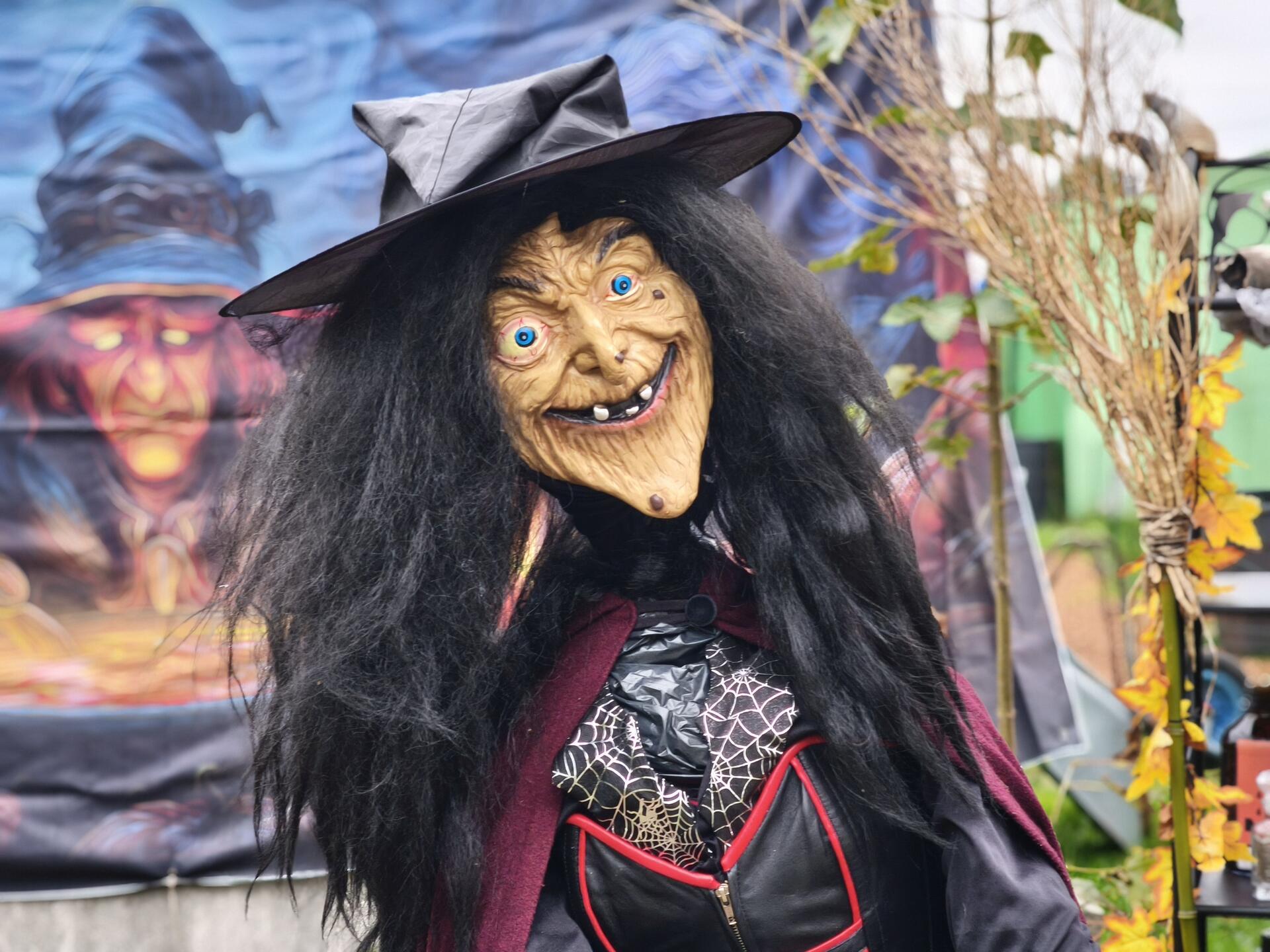 Auf dem Hundehof von Verena Heuwinkel in Bremerhaven gab es für Hunde und ihre B...