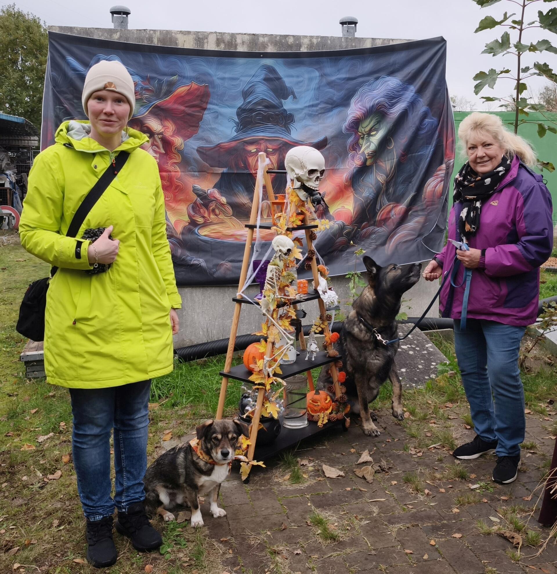 Auf dem Hundehof von Verena Heuwinkel in Bremerhaven gab es für Hunde und ihre B...