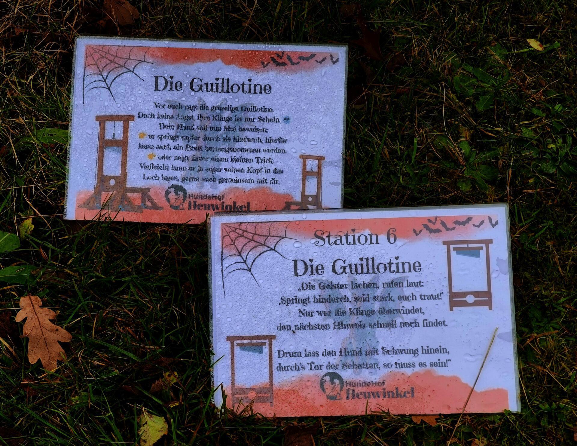 Auf dem Hundehof von Verena Heuwinkel in Bremerhaven gab es für Hunde und ihre B...