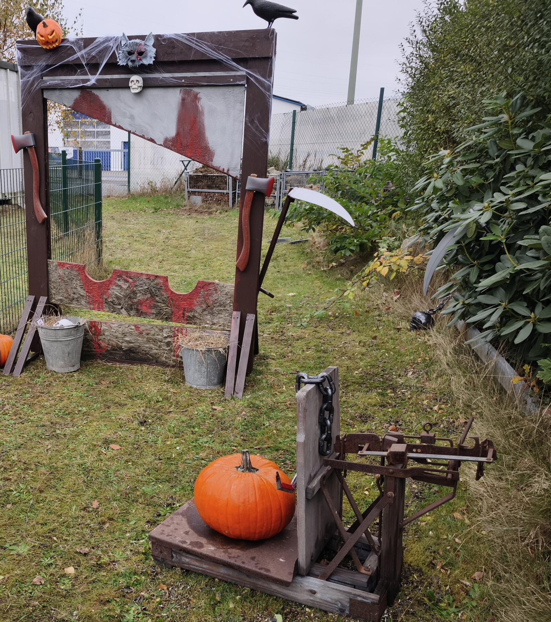 Auf dem Hundehof von Verena Heuwinkel in Bremerhaven gab es für Hunde und ihre B...