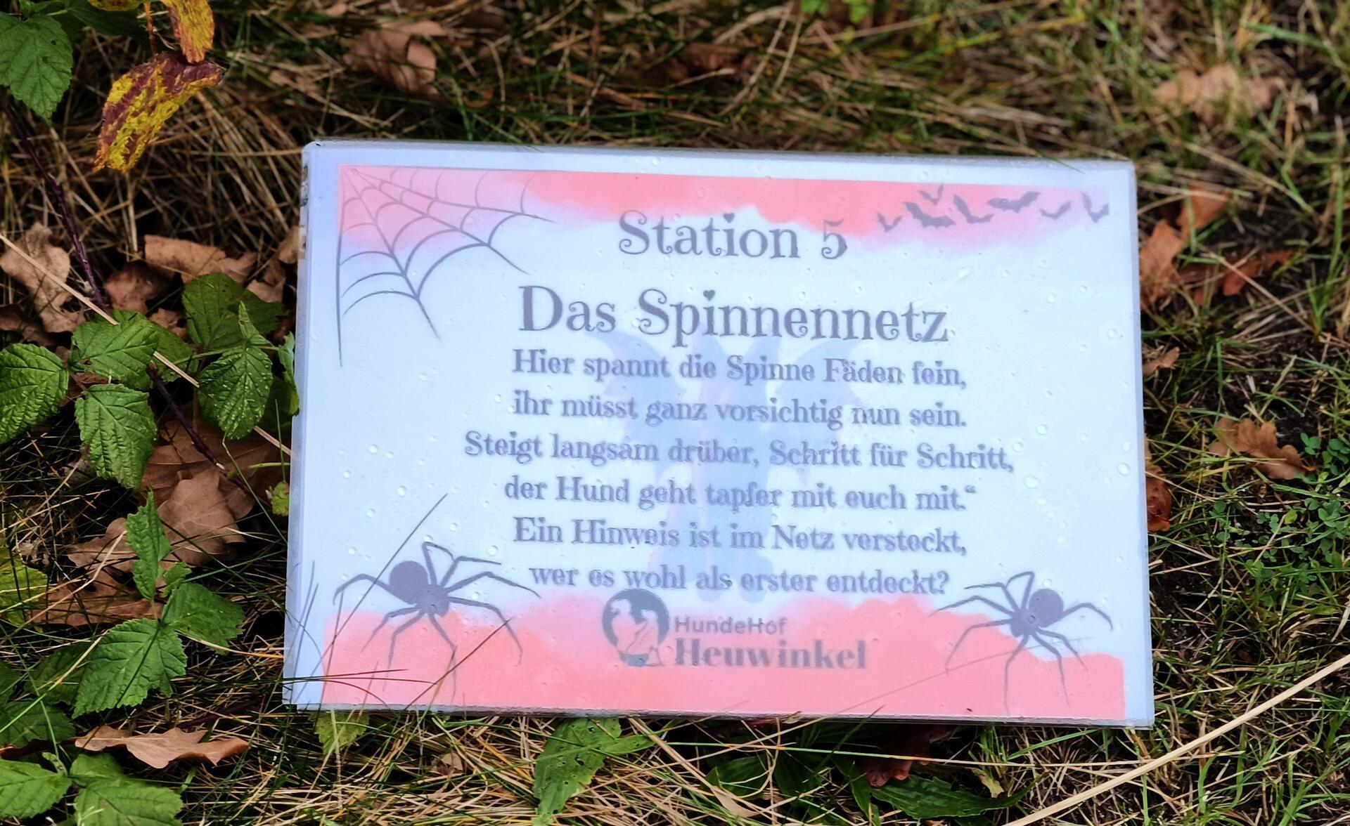 Auf dem Hundehof von Verena Heuwinkel in Bremerhaven gab es für Hunde und ihre B...