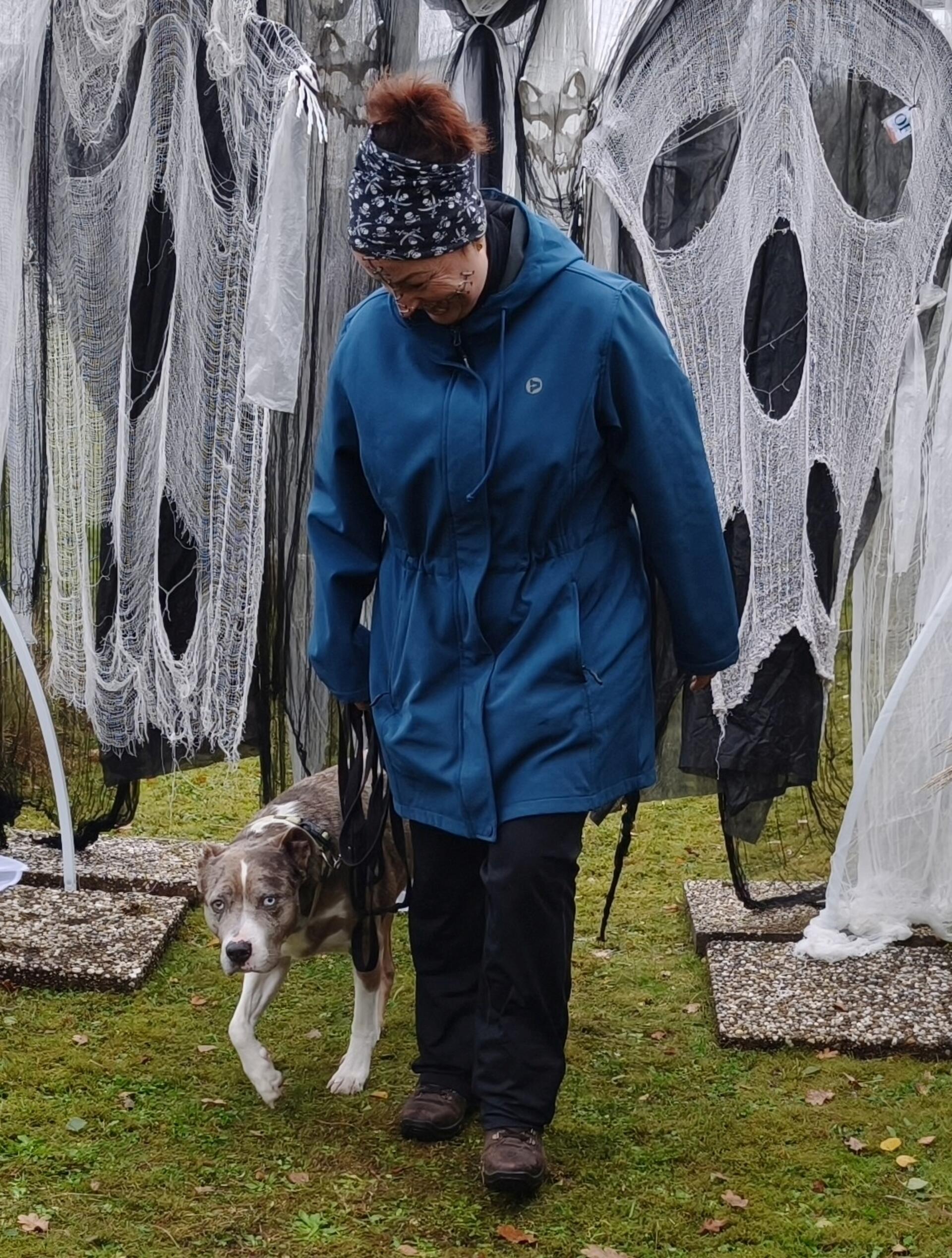 Auf dem Hundehof von Verena Heuwinkel in Bremerhaven gab es für Hunde und ihre B...