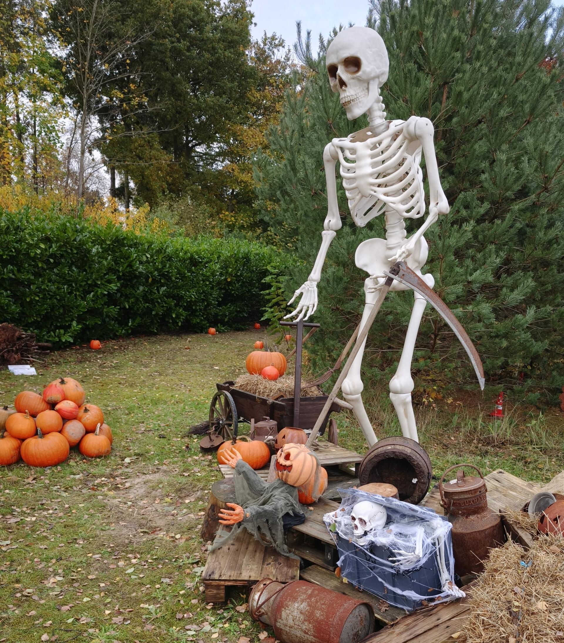 Auf dem Hundehof von Verena Heuwinkel in Bremerhaven gab es für Hunde und ihre B...