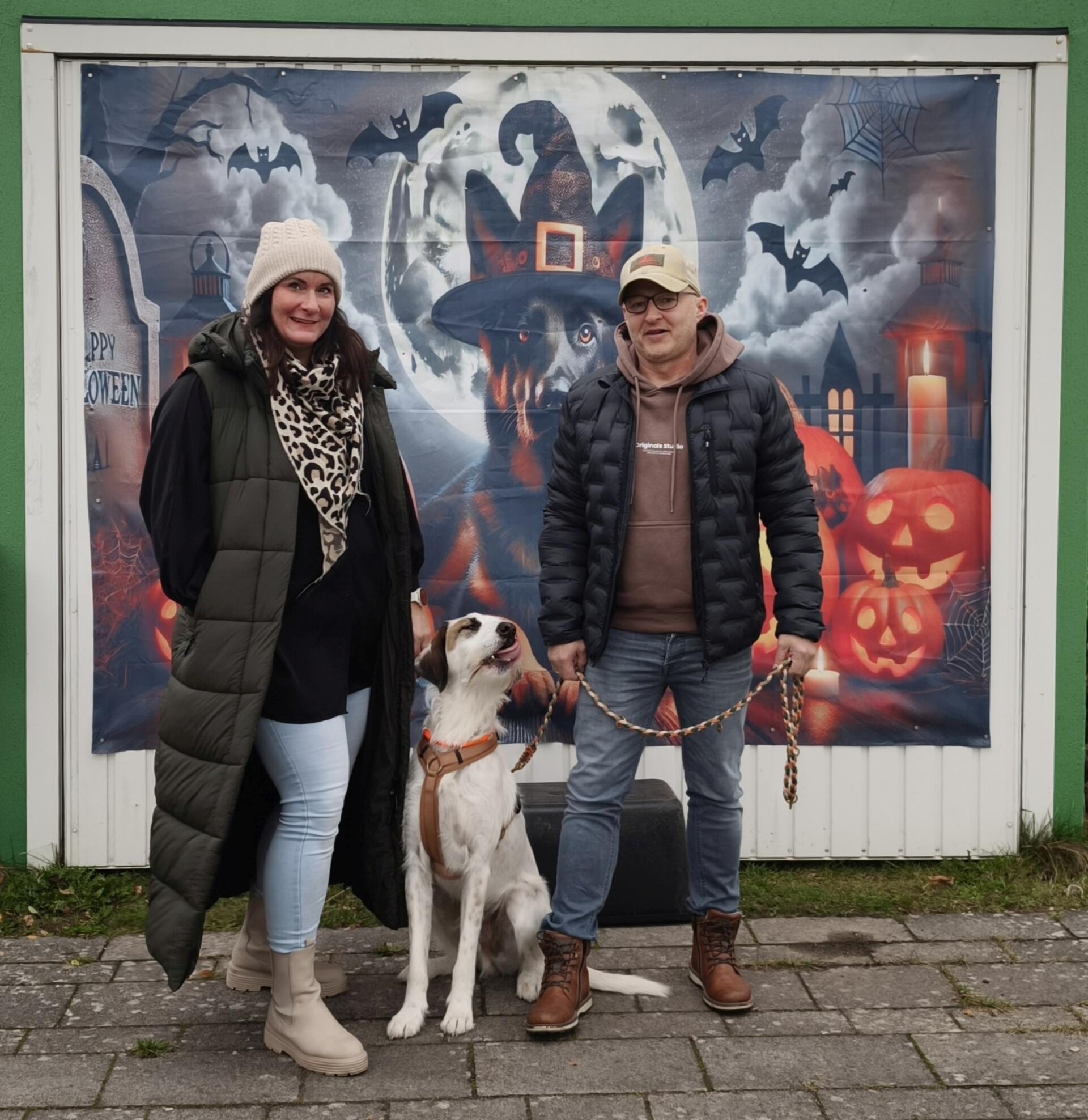 Auf dem Hundehof von Verena Heuwinkel in Bremerhaven gab es für Hunde und ihre B...