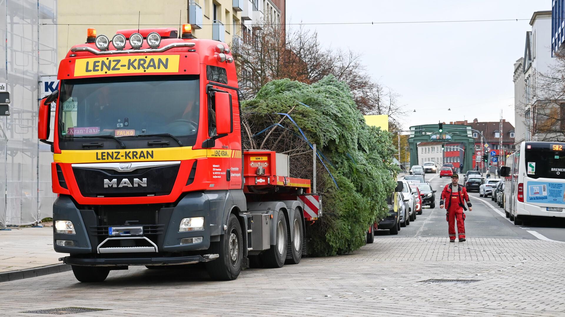 Ein echter Hingucker: Der Bremerhavener Weihnachtsbaum steht Auf dem Tieflader durch die Stadt. Die Tanne für den Weihnachtsmarkt auf dem Weg zum Theodor-Heuss-Platz.