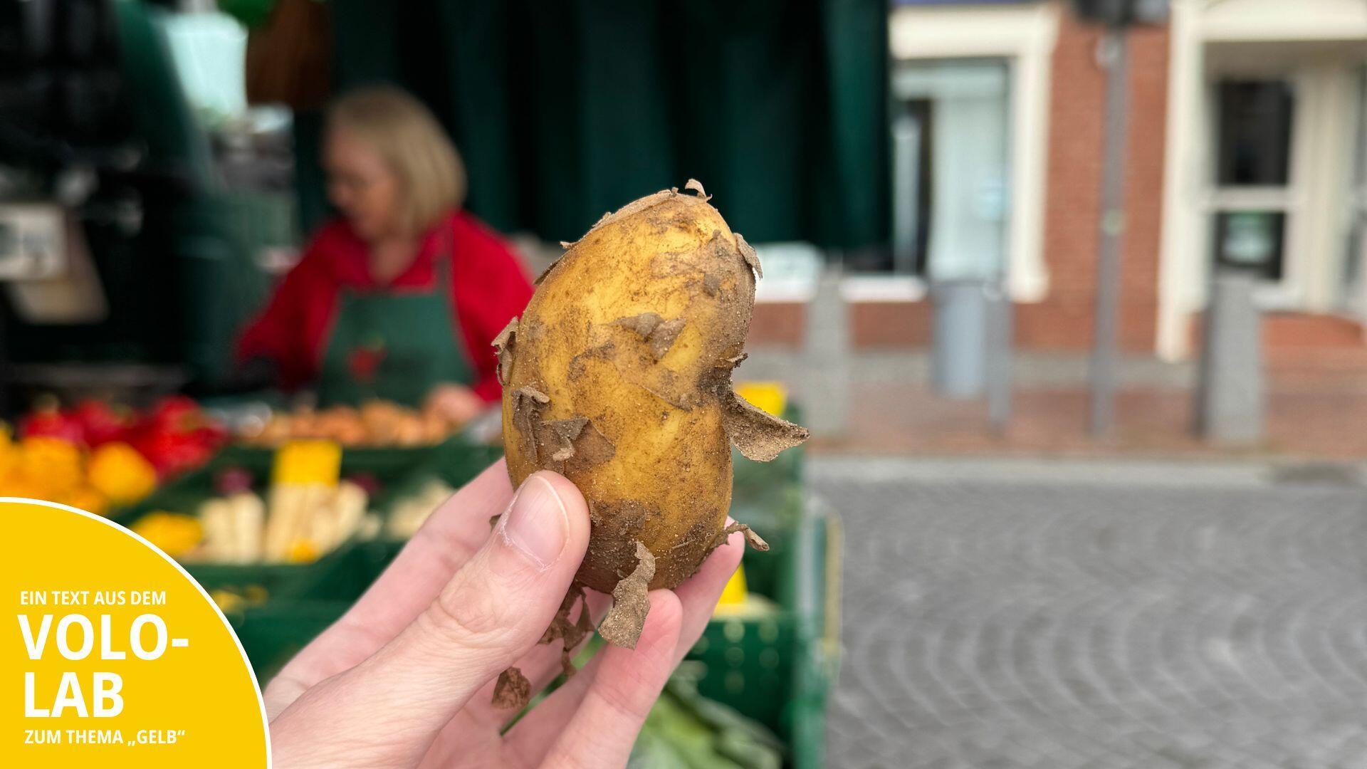 Hand hält Kartoffel