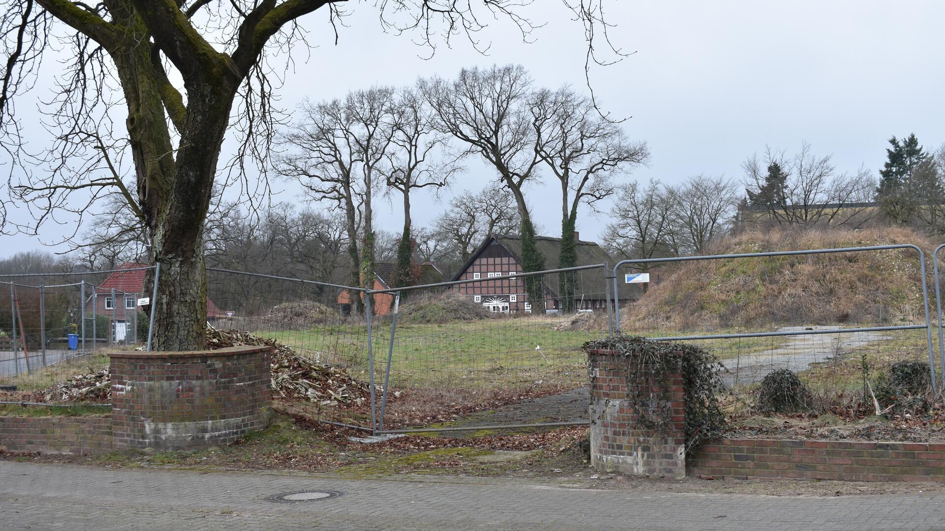 Auf einer Brachfläche mit einem Bauzaun  sind vorne die Reste einer Backsteinmauer und ein hoher Baum zu sehen.