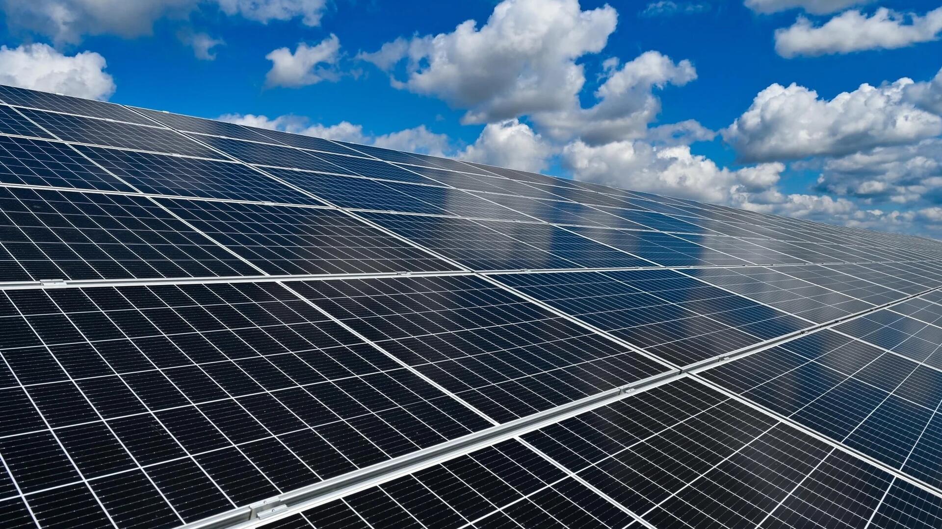 Auf einem bis zu 89 Hektar großen Areal in der Gemarkung Basdahl/Volkmarst soll ein Solarpark entstehen. Viele Bürgerinnen und Bürger beäugen das Projekt kritisch.