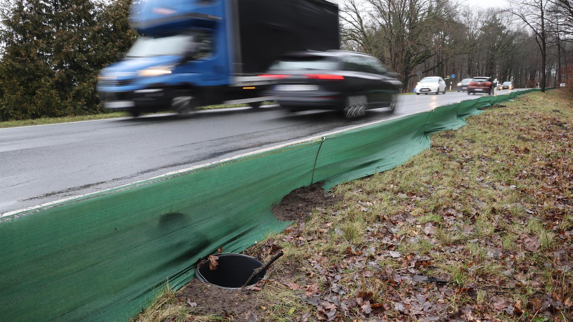 An einer stark befahrenen Straße führt der Amphibienzaun die Tiere in einen Behälter, mit dem sie Helfer auf die andere Seite bringen. Der NABU weist auf die beginnende Krötenwanderung hin.
