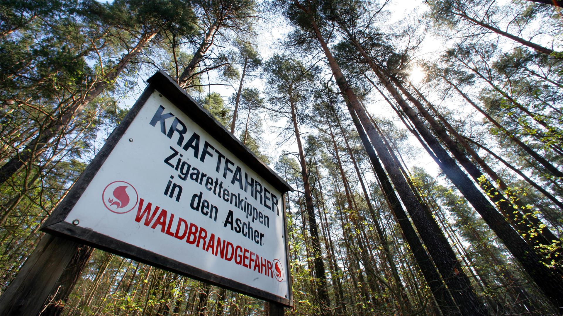 Auf einem Hinweisschild an einer Straße im Forstrevier im brandenburgischen Groß Schönebeck werden am Freitag (27.04.2007) die Kraftfahrer gebeten, die Zigarettenkippen nicht aus dem Fahrzeug zu werfen.