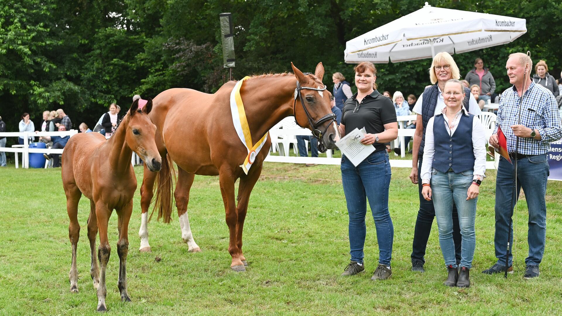 Bei den Dressurfohlen konnte sich ein Stutfohlen von „Bon Bolero“ durchsetzen. Züchter dieses Fohlens ist der Basdahler Klaus Michaelis (rechts), Besitzerin ist seine Tochter Vanessa Fleckenstein (links).