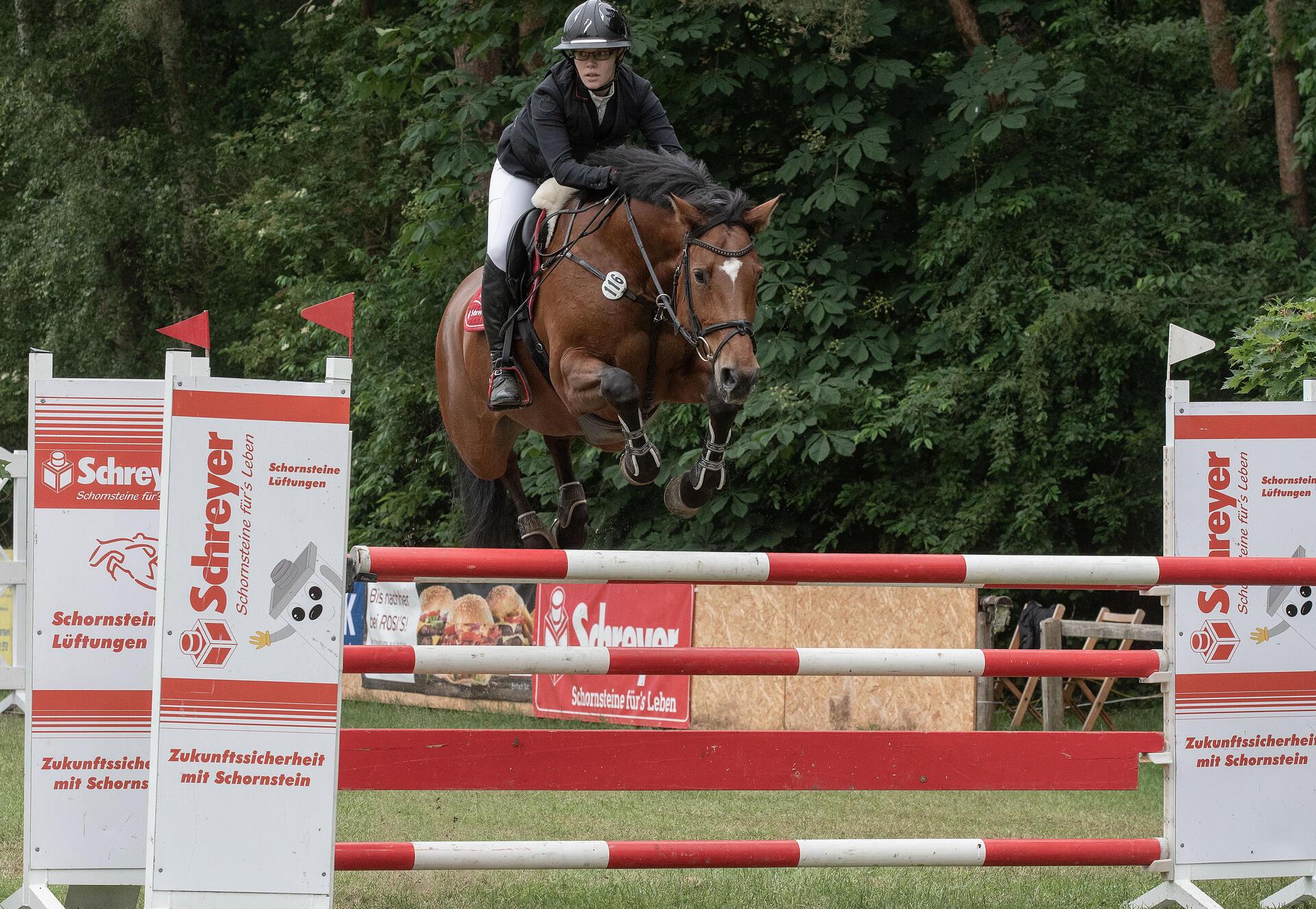 Sehenswerter Pferdesport auf dem Zevener Reitturnier