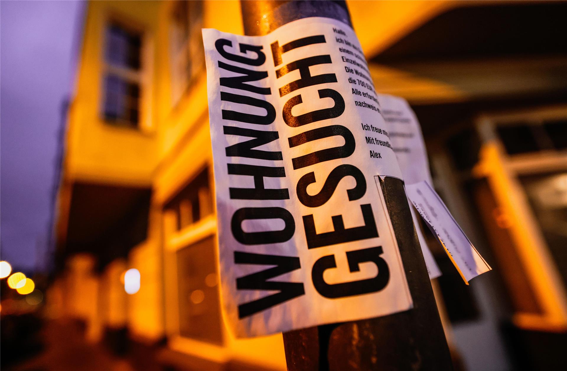 Schild mit der Aufschrift „Wohnung gesucht“.