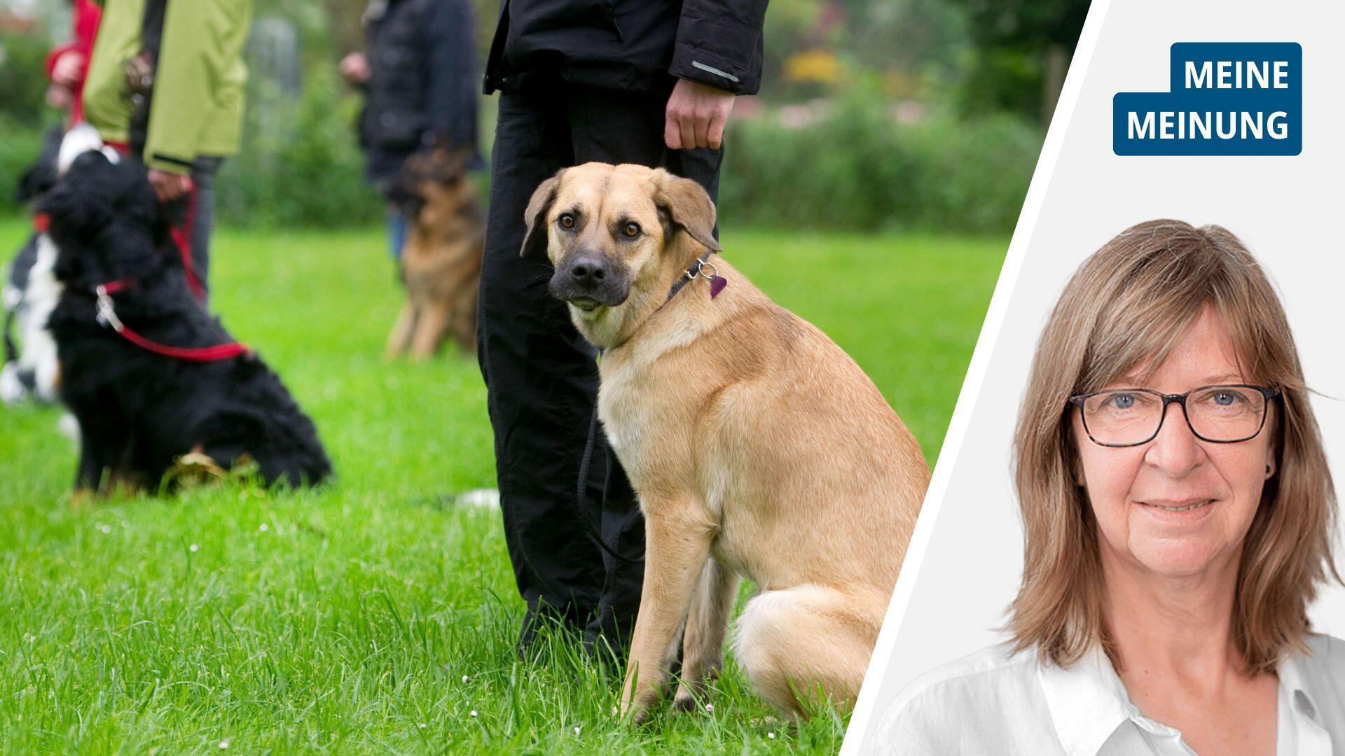 Rechts das Porträt einer Frau mit blonden Haaren und Brille, links ein brauner Hund 
