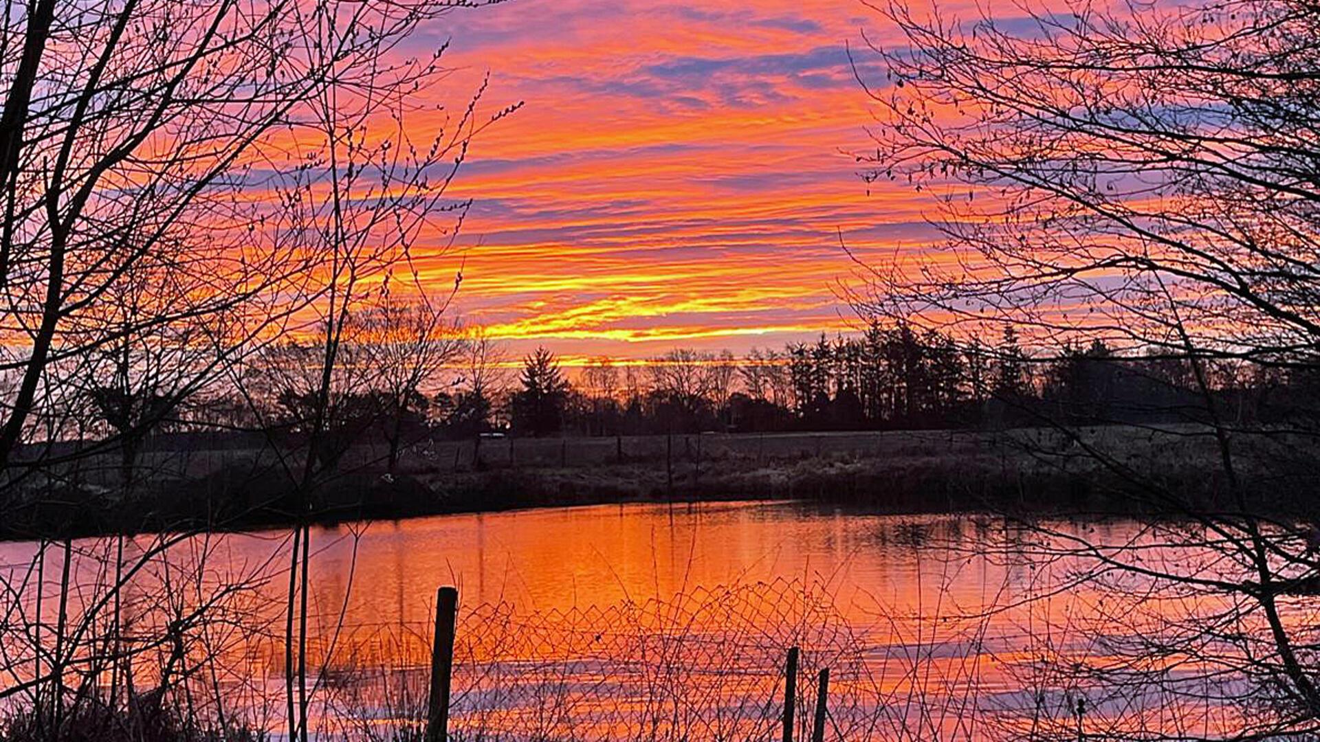 Wolken am Himmel und ein Teich werden von der aufgehenden Sonne in orangefarbenes Licht getaucht.