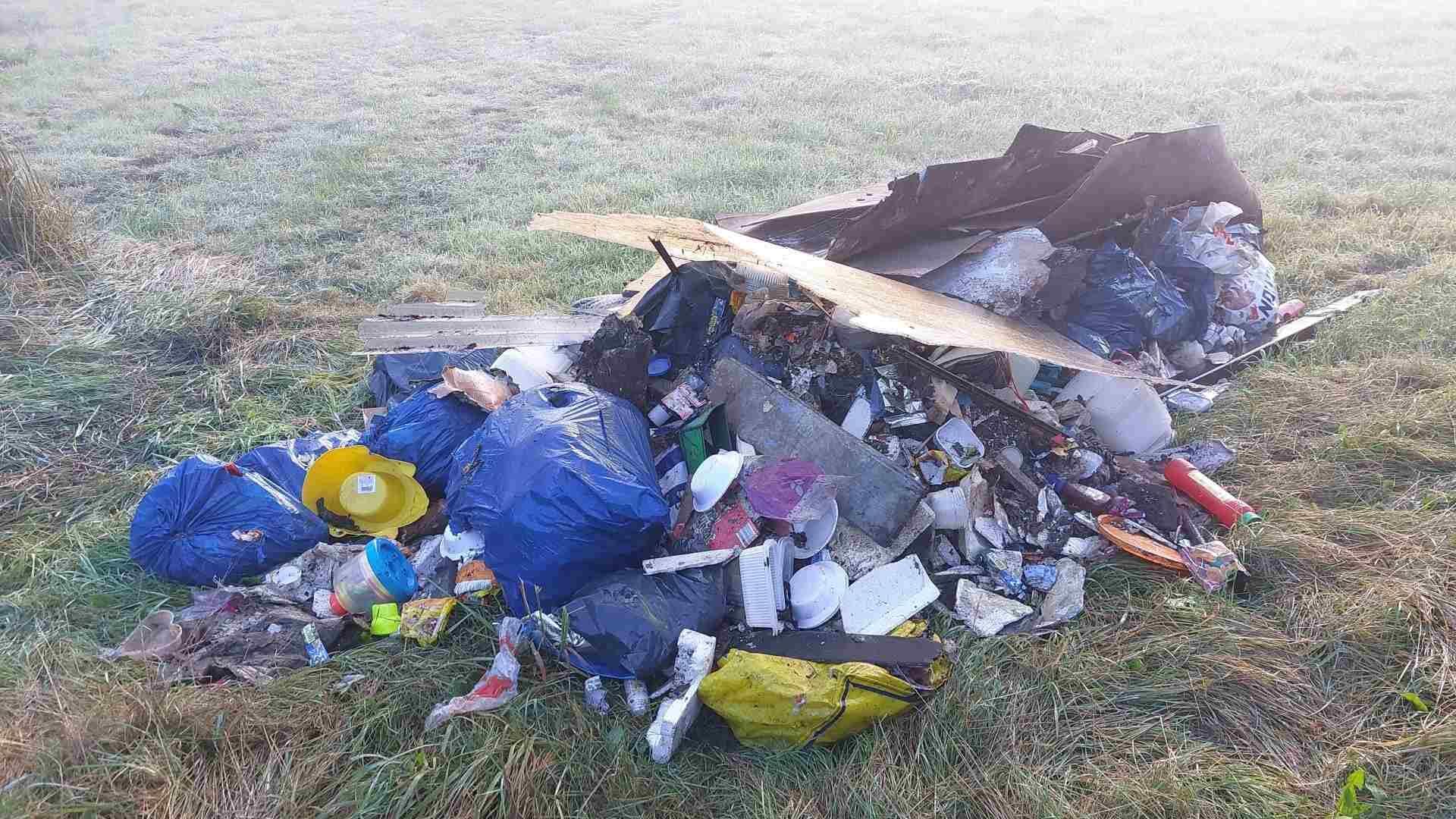 Ein Haufen illegal entsorgter Abfälle liegt auf einer Wiese. Zu sehen sind blaue und gelbe Müllsäcke, Holzreste, Plastikgeschirr, Unrat und Hausmüll.