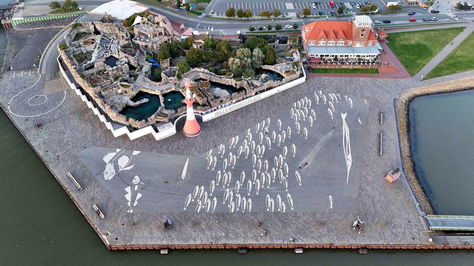 Street-Art von oben: Sicht auf Bremerhavens Fische