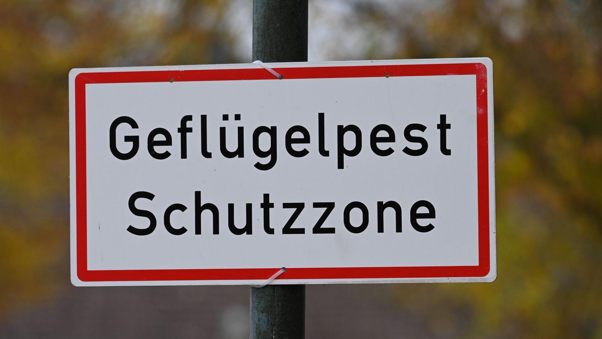 Geflügelpest in Putenbetrieb nachgewiesen