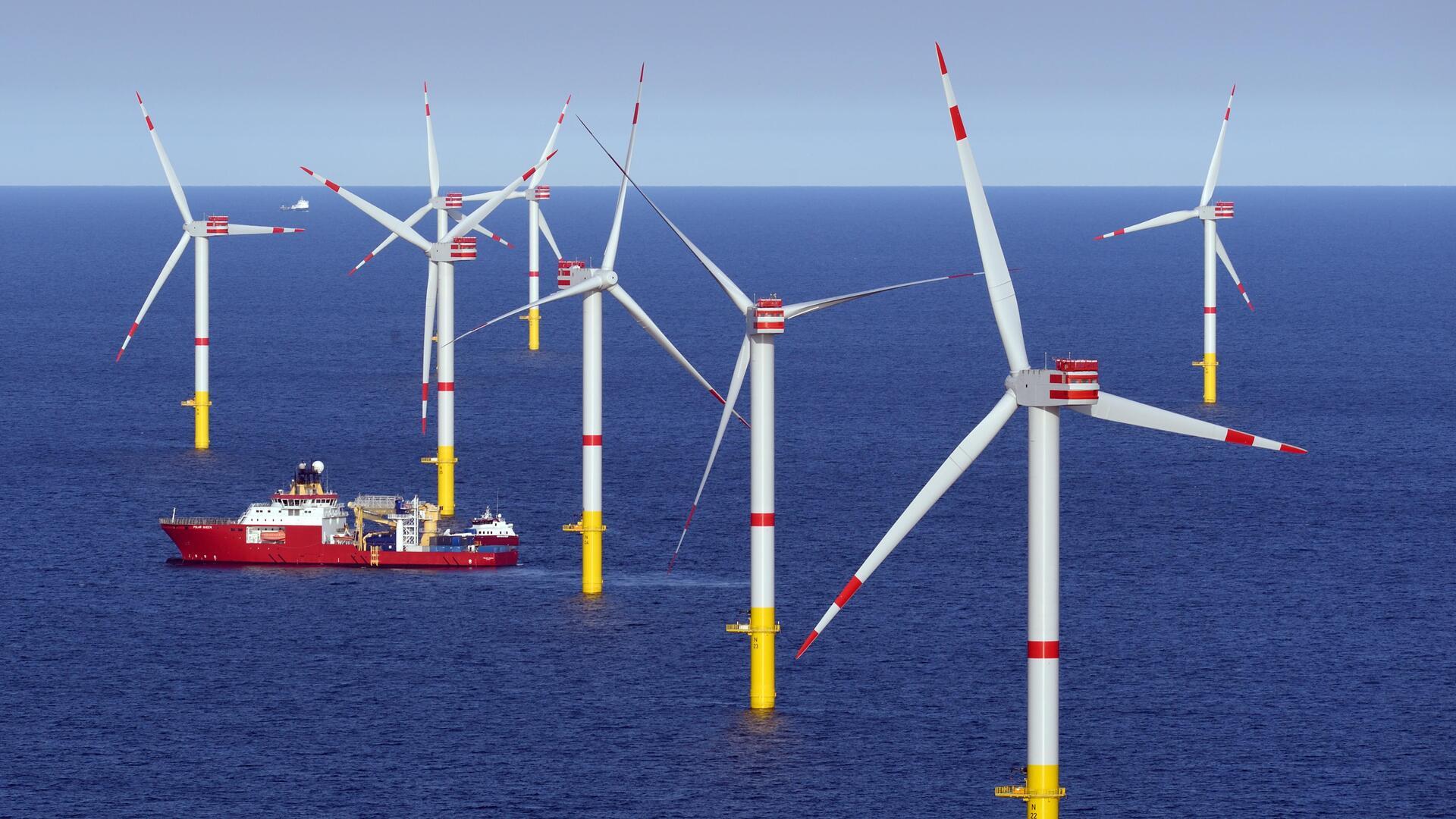 Ein Windpark in der Nordsee.