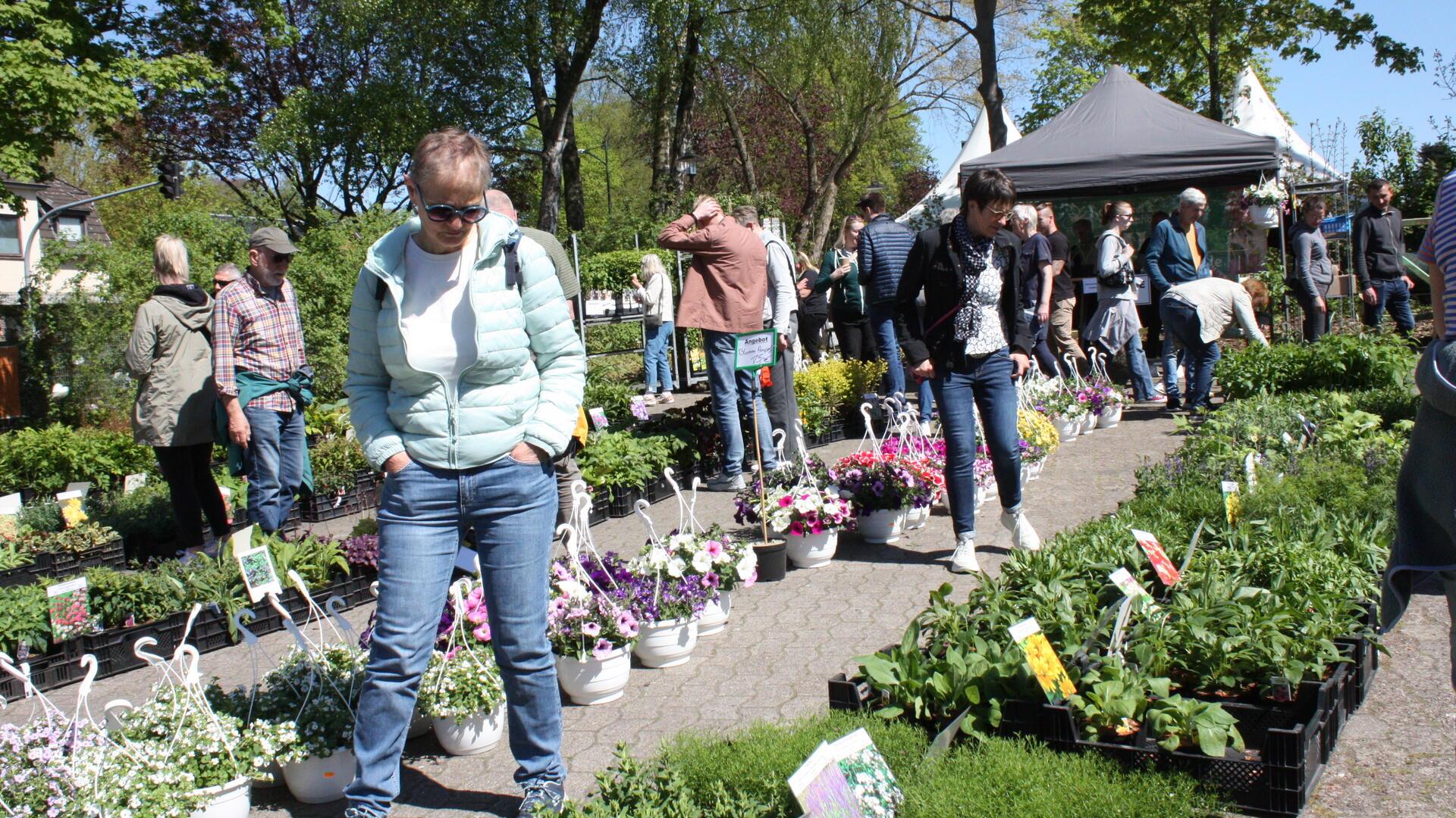 Der 20. Hagener Staudenmarkt lockte mit seinem zahlreichen Pflanzenangebot an den vielen Blumenständen die Besucher an. 