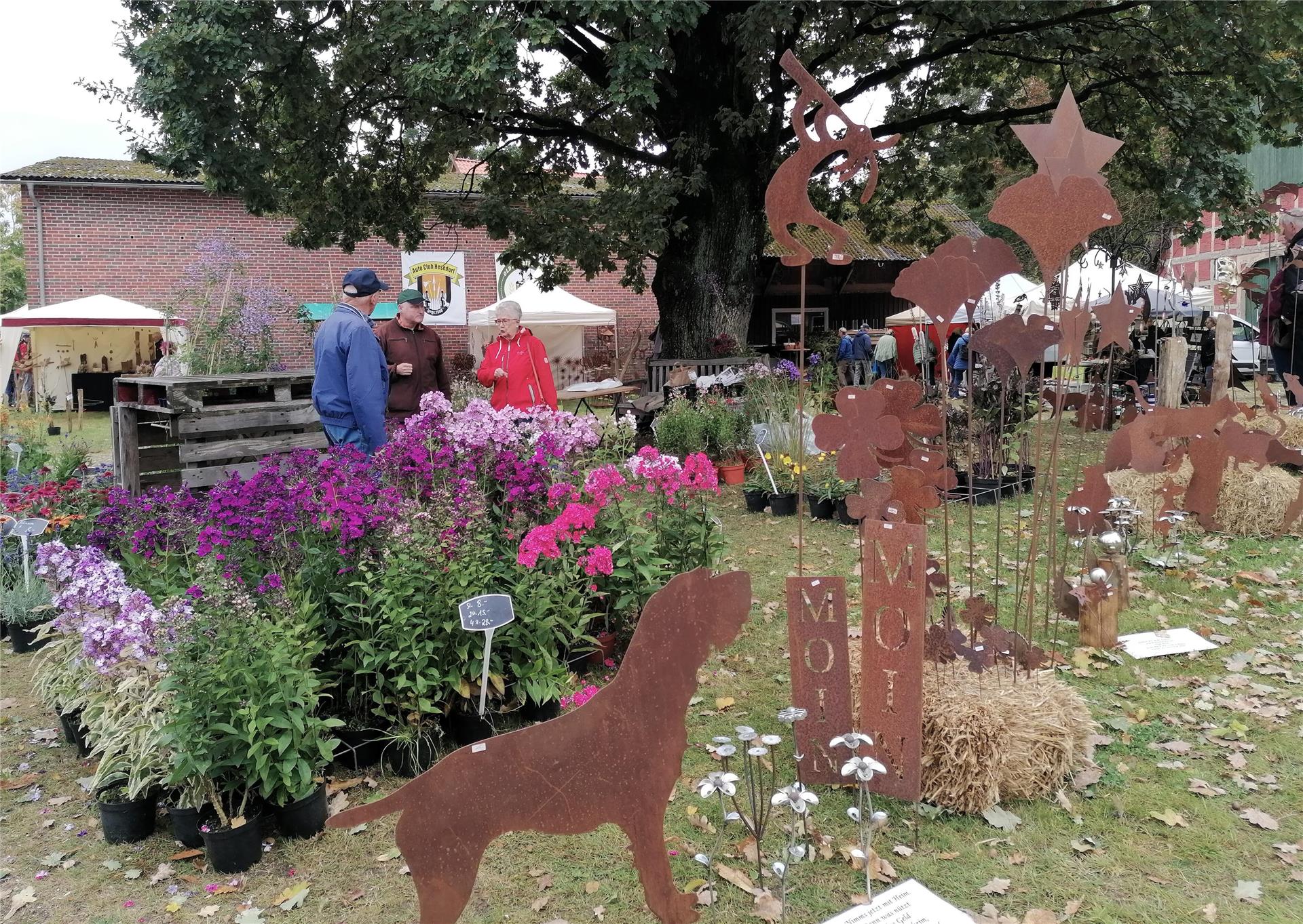 Blütenpracht zum Herbst mit Phlox und Co. beim Hesedorfer Kunsthandwerkermarkt.