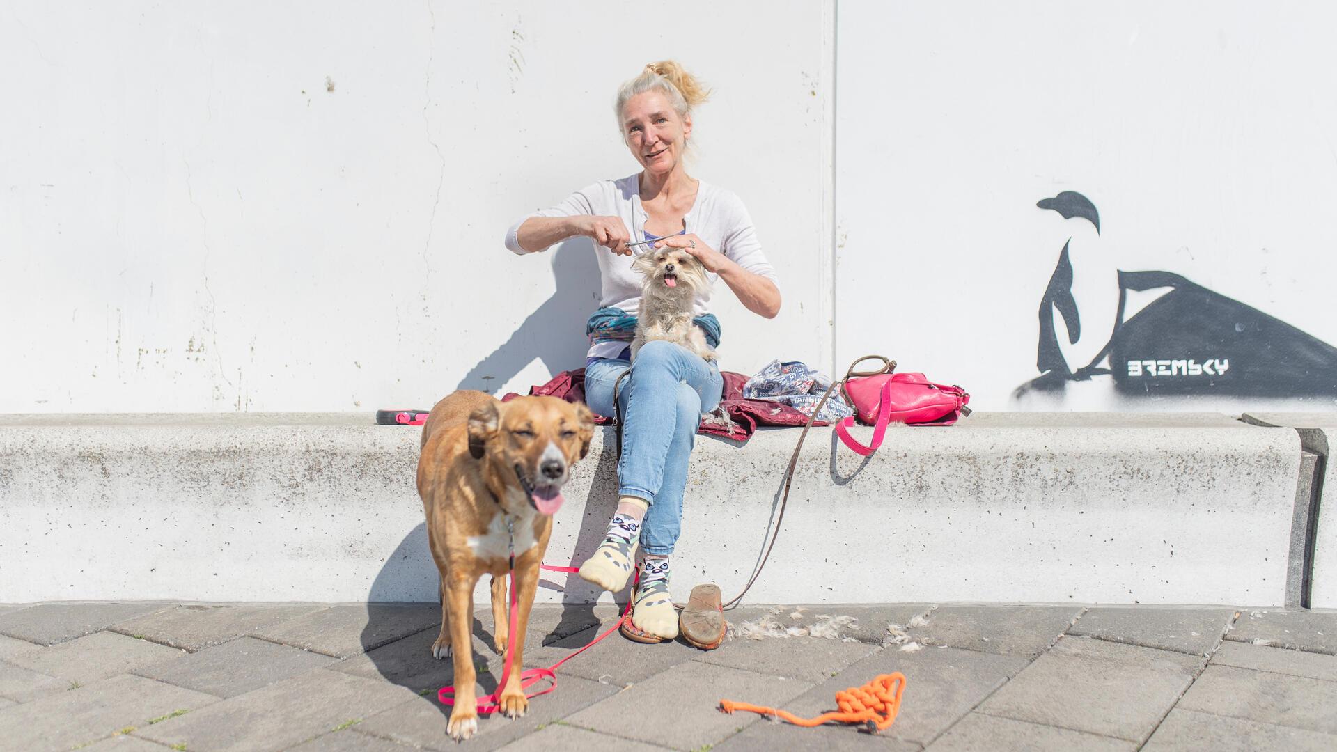 Frau sitzt mit zwei Hunden in der Sonne. Einer der Hunde ist auf ihrem Schoß und bekommt das Fell geschnitten.
