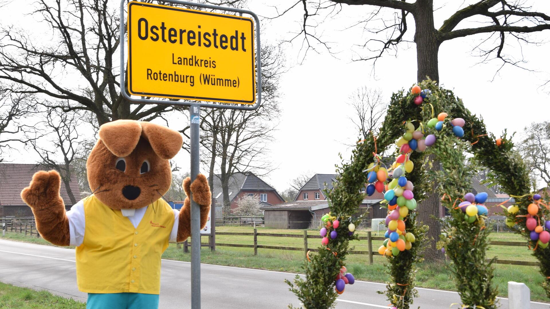 Hanni Hase