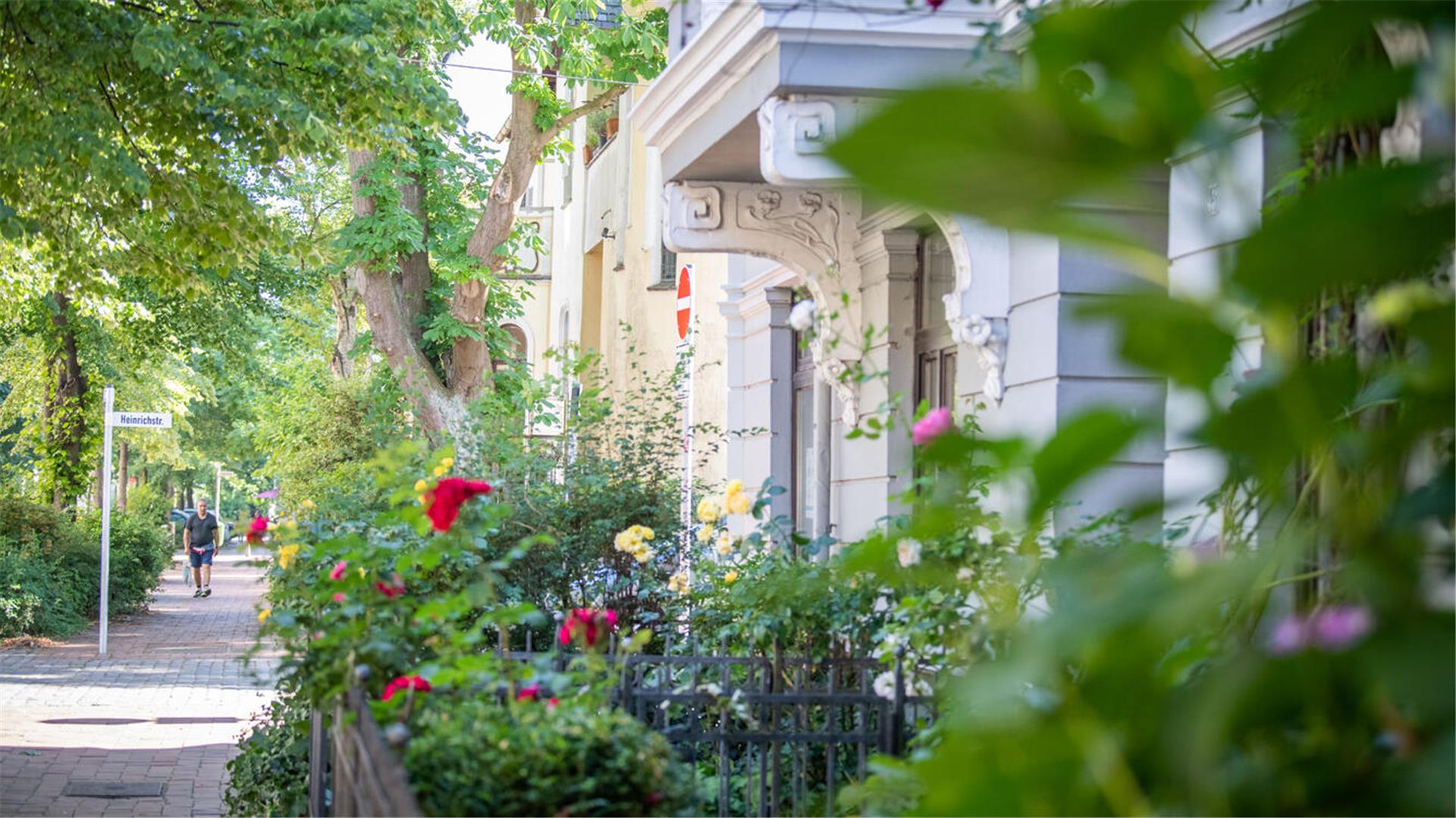 Üppige Vorgärten an einer Straße. 