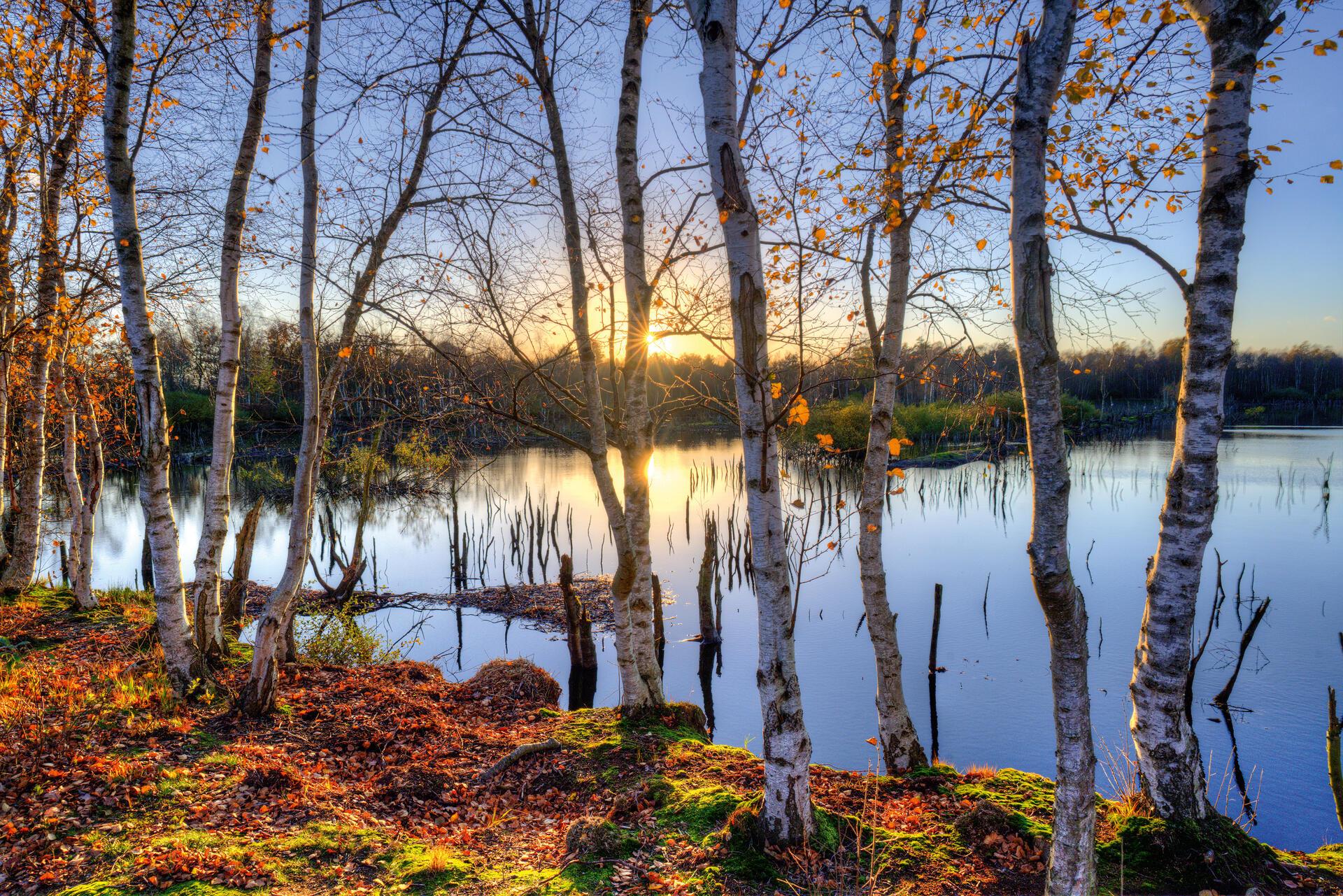 Das November-Motiv aus dem neuen Bremervörder Kalender - fotografiert von Rolf Borgardt.
