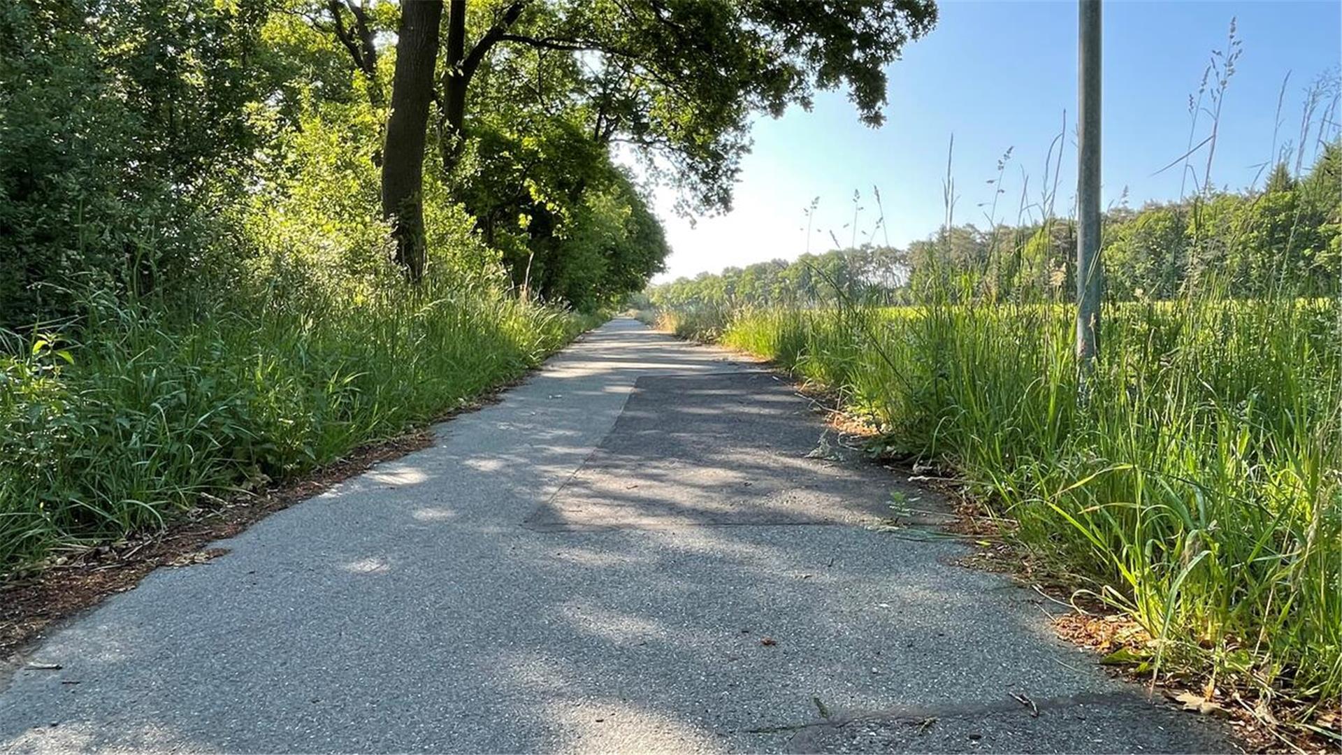 Ein Fahrradweg, der zwei "geflickte" Stellen aufweist. Links und rechts des Weges grünt es: Das Gras blüht.
