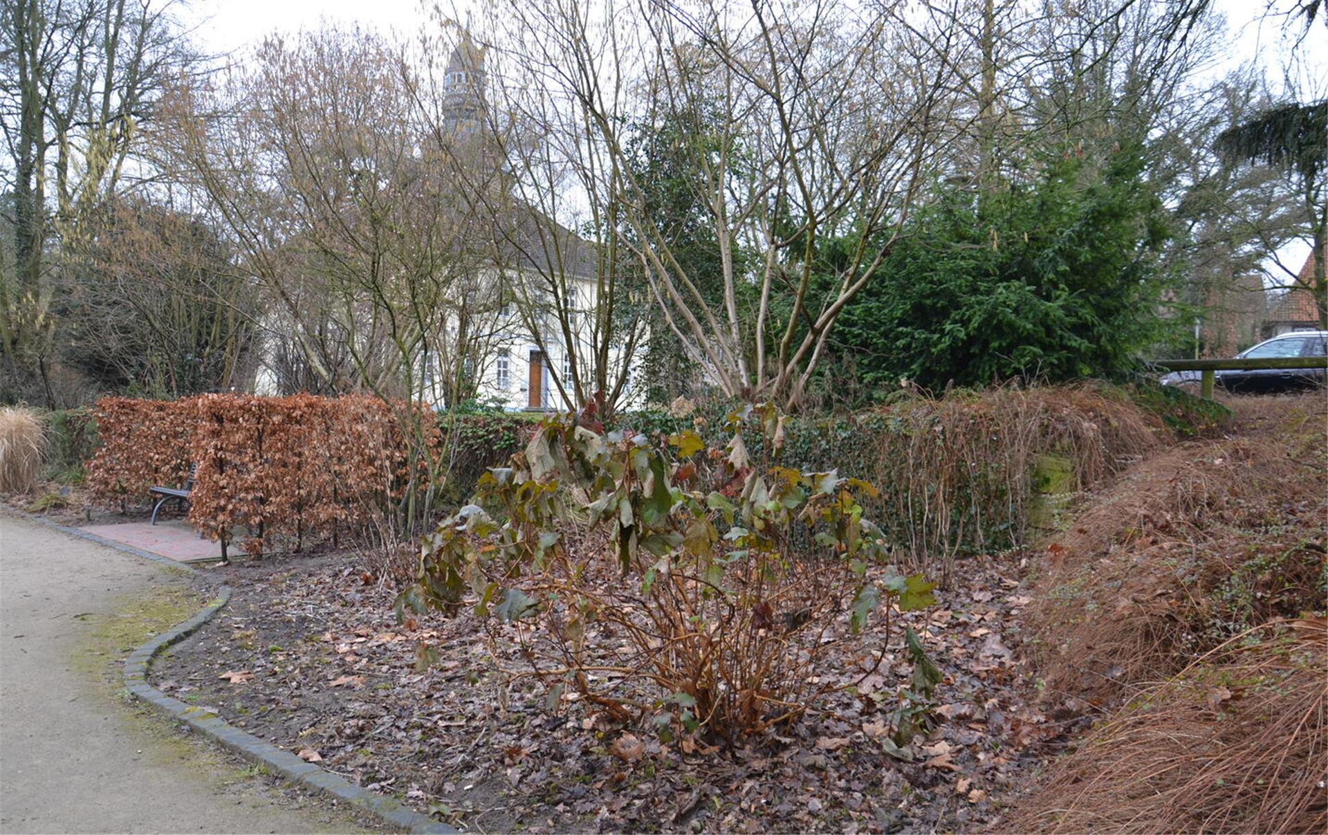 Stadtpark mit der Zevener St.-Viti-Kirche im Hintergrund.