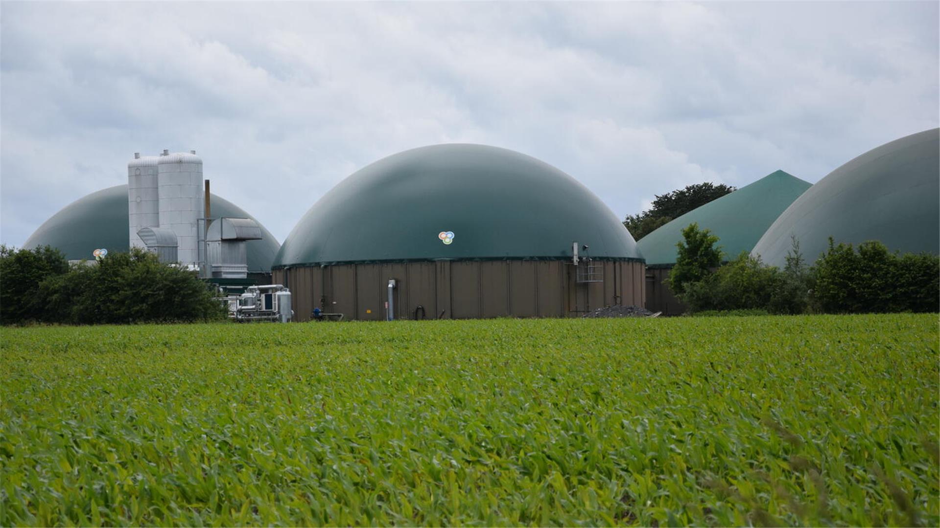 Biogasanlage Ostereistedt.