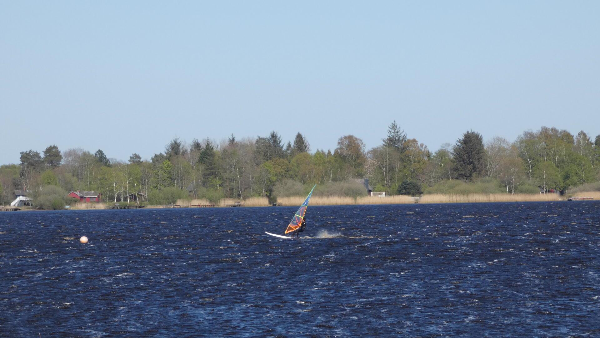 Surfer auf dem See