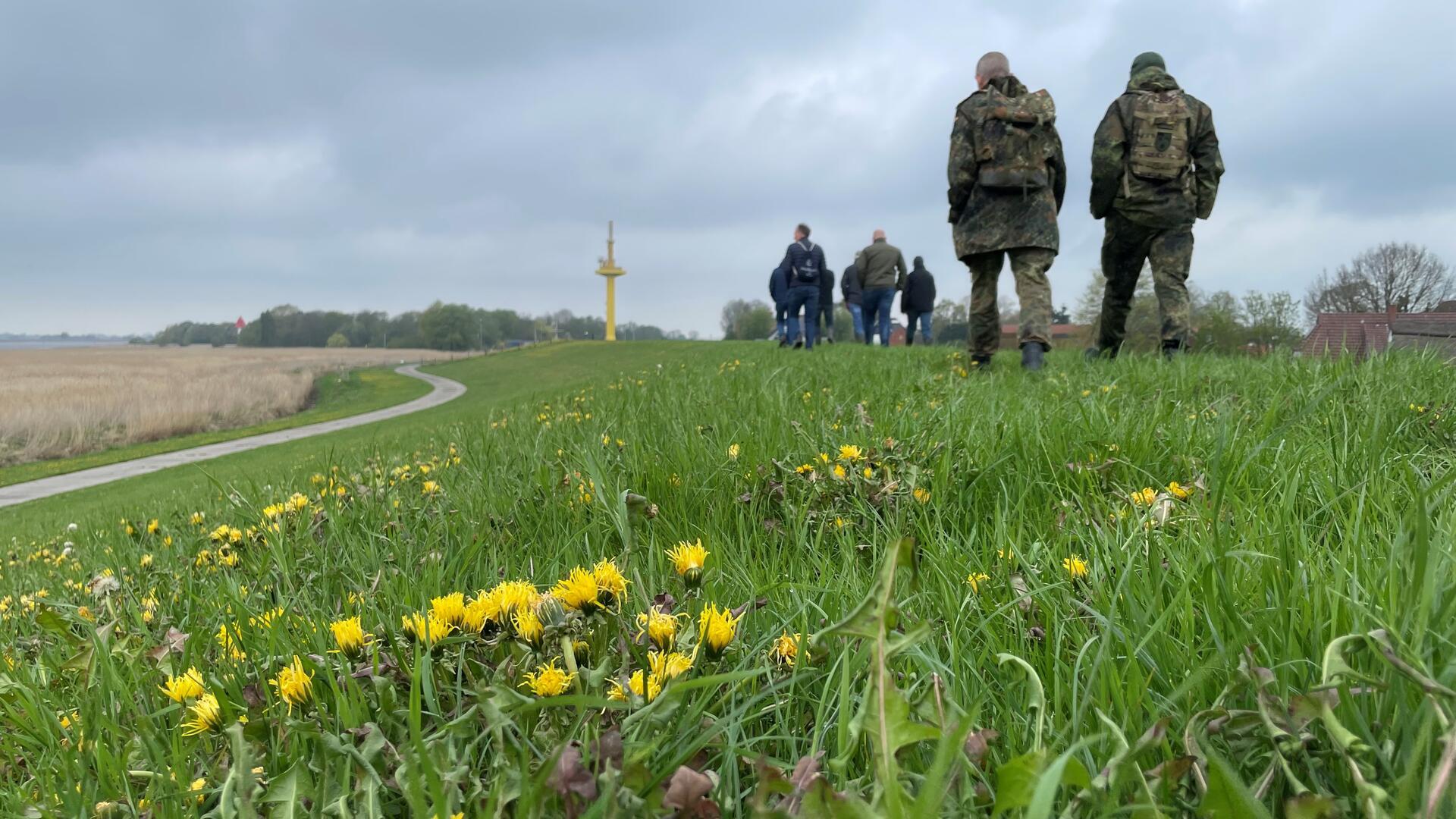 Ein Deich, bedeckt mit Gras und Löwenzahn. Auf dem Deich laufen Menschen.