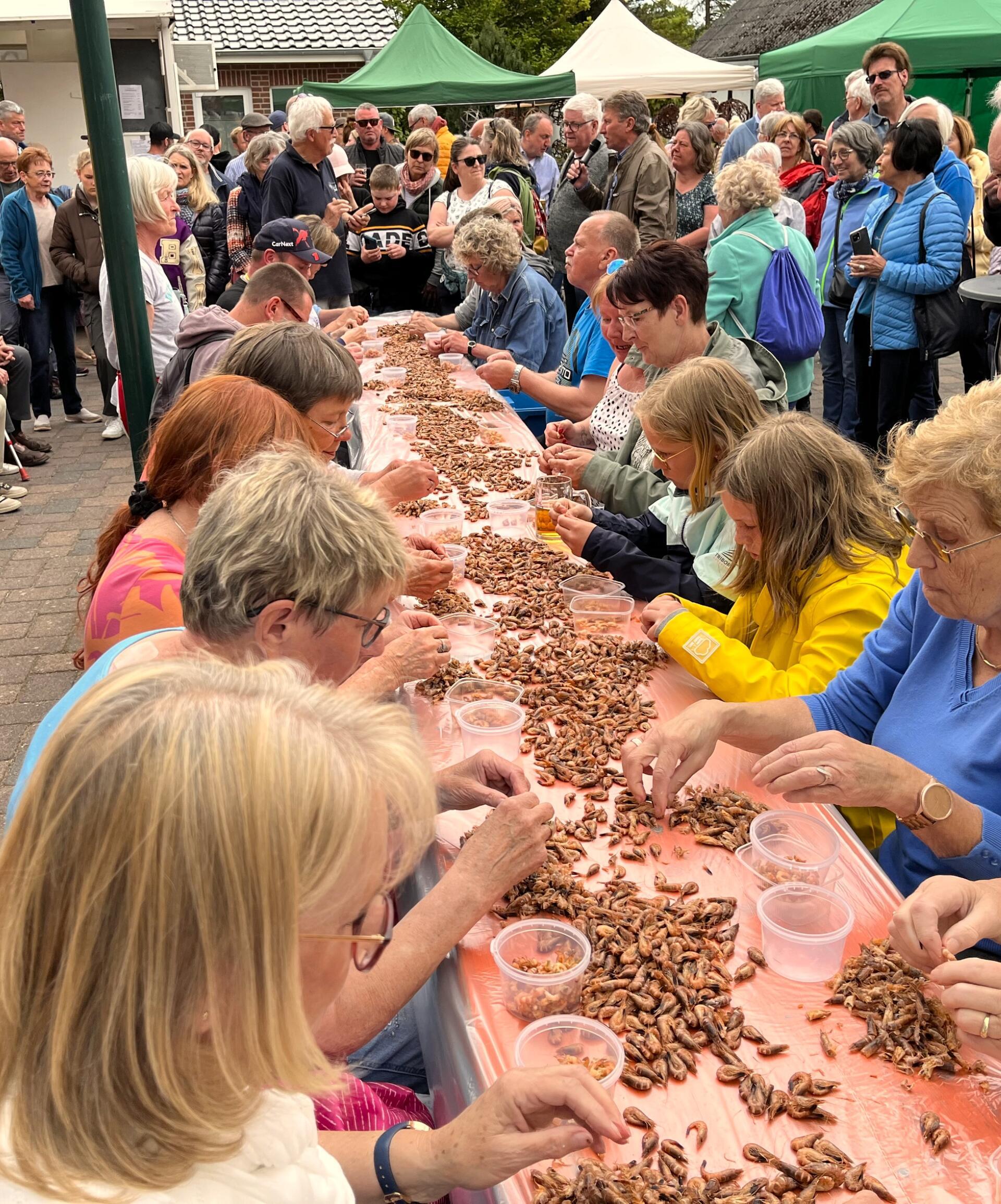 Der Pulwettbewerb beim Wremer Krabbentag hat Tradition.